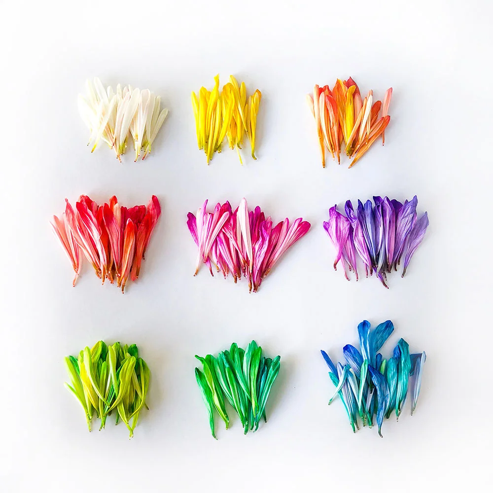 is-your-work-culture-in-discord-or-harmony-beth-wonson-745621-unsplash.jpg