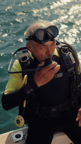 STAYSURE Don't stand out 9.16.gif
