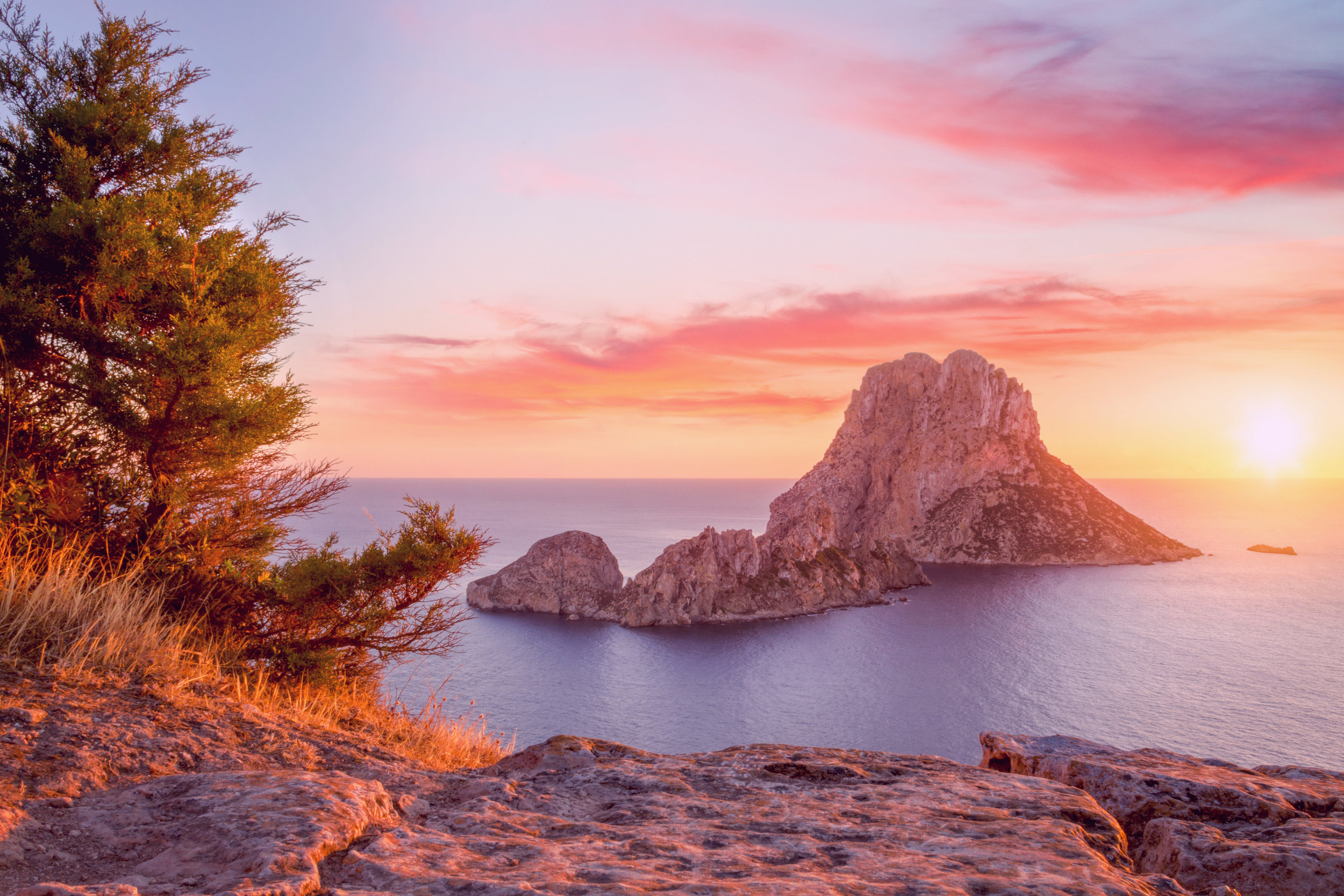 IBIZA BLOOM STUDIO _es vedra_filter.jpg