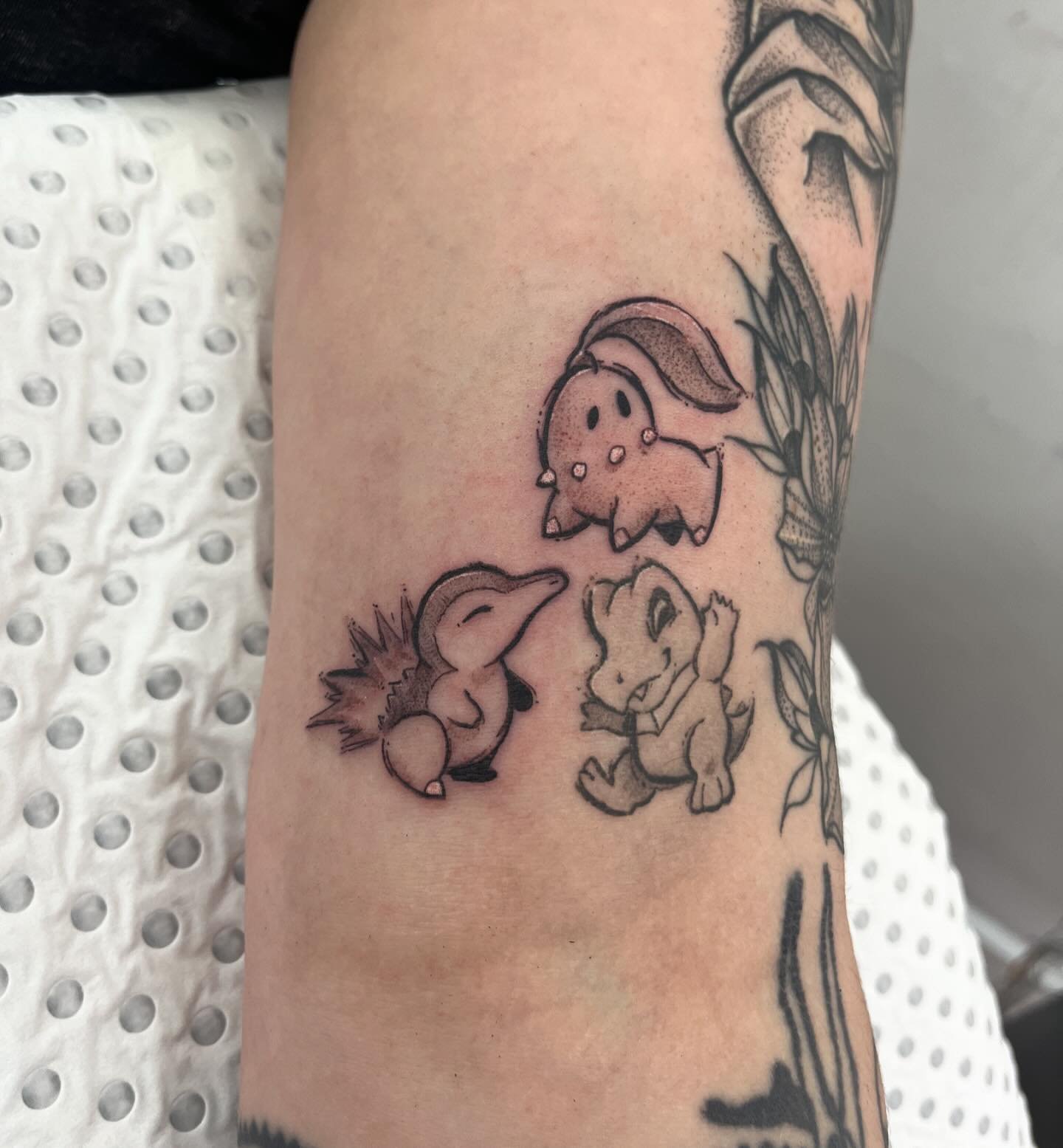 A trio of starters for @sistaakrimzz!!! Love tattooing these little cuties, needa draw up some bigger flash in this style! Chikorita and Cyndaquil are fresh, Totodile is a few months healed or so! 

#pokemon #tattoo #pokemontattoo #chikorita #cyndaqu