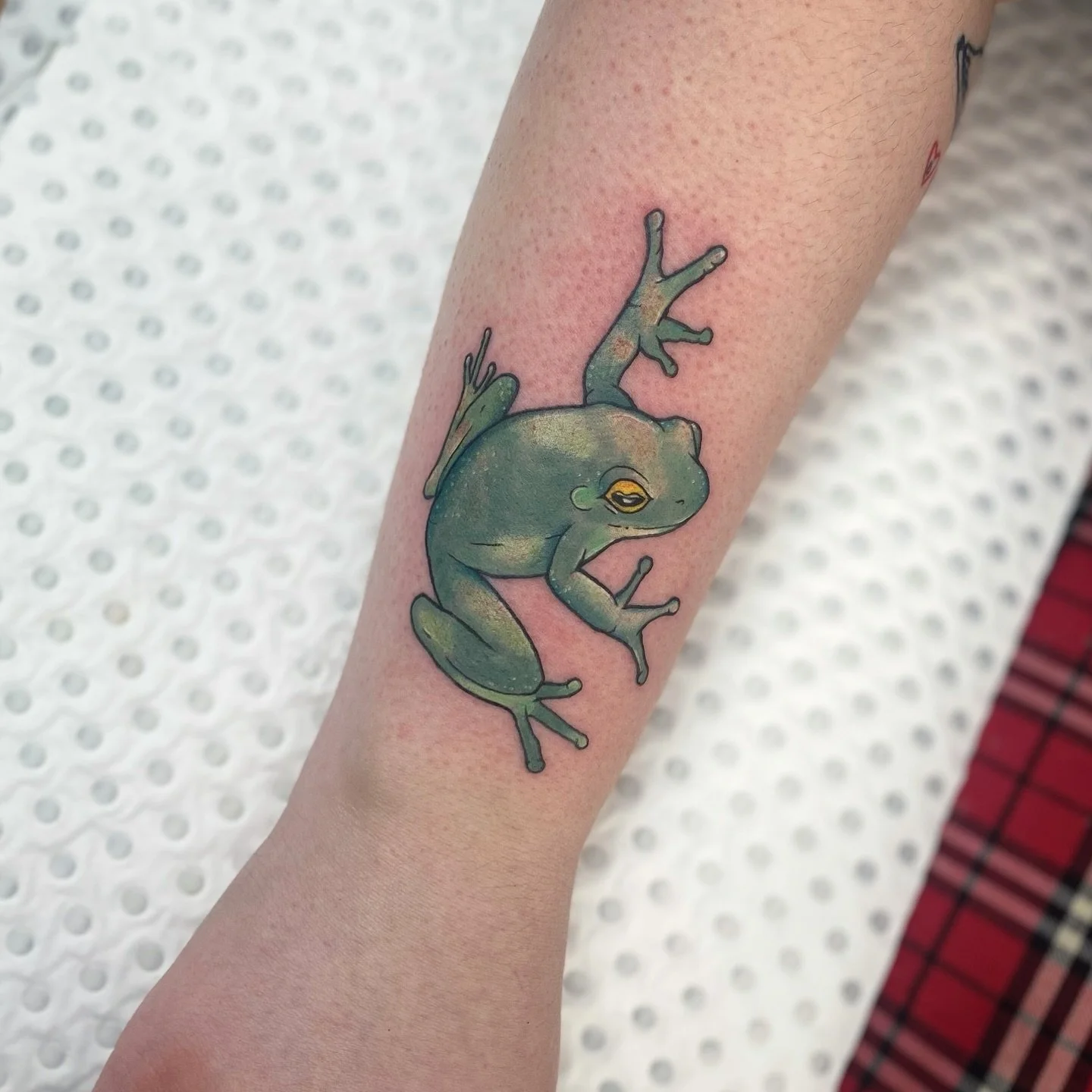 🐸
Thanks for sitting like a champ @fruity._.frog04 
.
.
.
#tattoo #tattoos #tattooapprentice #adelaidetattoos #adelaidetattoo #adelaidetattooartist #frog #frogtattoo @infiniteworldstattoo @aftercare_collective