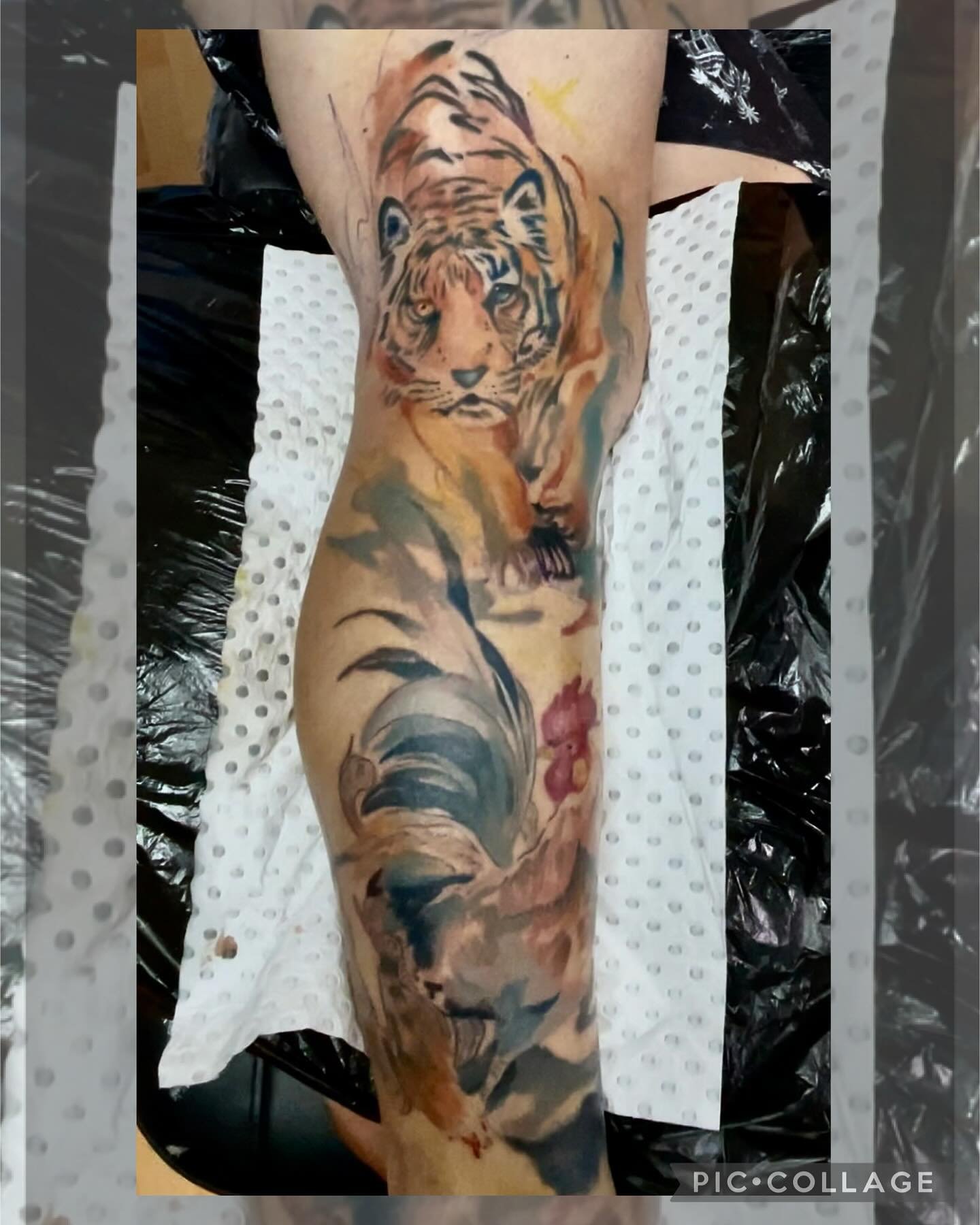 Watercolor/realism piece done at @infiniteworldstattoo 
Dm for enquires 
#tiger #tigertattoo #watecolor #watecolortattoo #rooster #roostertattoo #realism #reaslismtattoo #geek #anime #animetattoo #nerd #tattoo #adelaide #otaku #animals