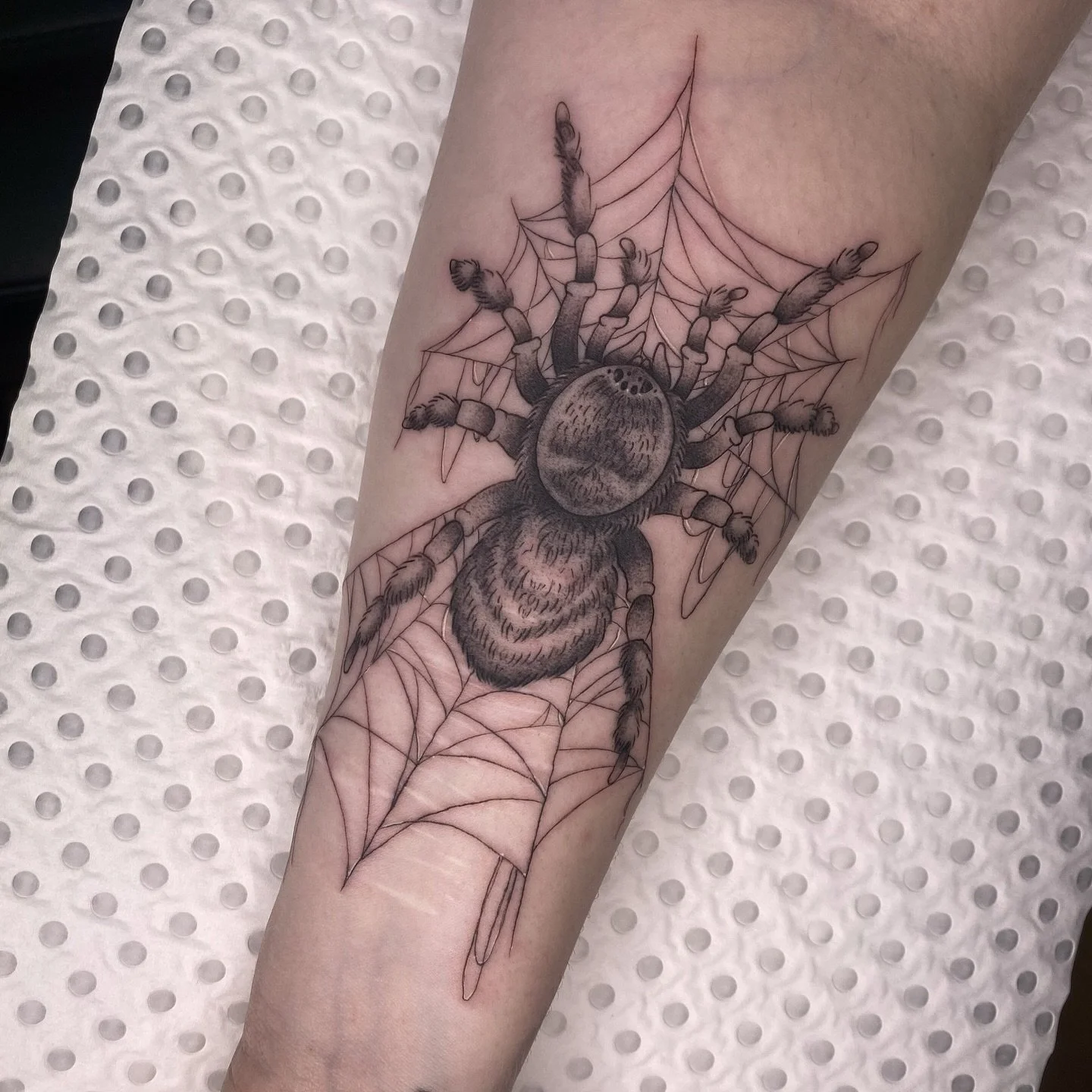 🕷️&ldquo;𝔴𝔥𝔞𝔱 𝔦𝔰 𝔫𝔬𝔯𝔪𝔞𝔩 𝔣𝔬𝔯 𝔱𝔥𝔢 𝔰𝔭𝔦𝔡𝔢𝔯, 𝔦𝔰 𝔠𝔥𝔞𝔬𝔰 𝔣𝔬𝔯 𝔱𝔥𝔢 𝔣𝔩𝔶&rdquo;🕷️
Thought I should actually post a photo of this one and not just a reel.
Thanks so much, again, Darci! 

⚡️done at @infiniteworldstattoo 
?