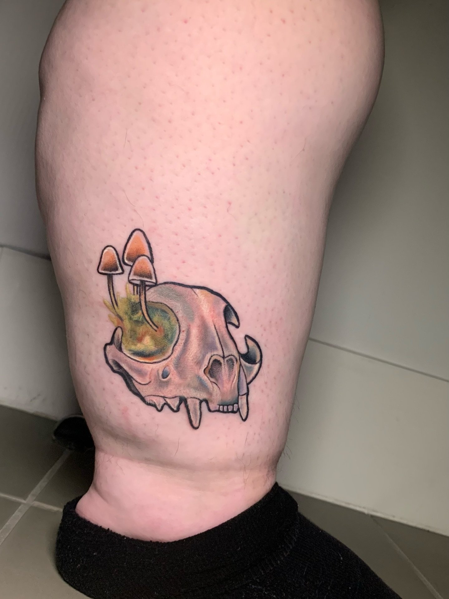 mostly healed cat skull and mousey wet specimen with a cheeky second pass on some of the bolder lines and greens in both for the ever so lovely @shaquarn_mills 💕 thankyou for taking amazing care of these critters darlin- still some pieces on my 2025