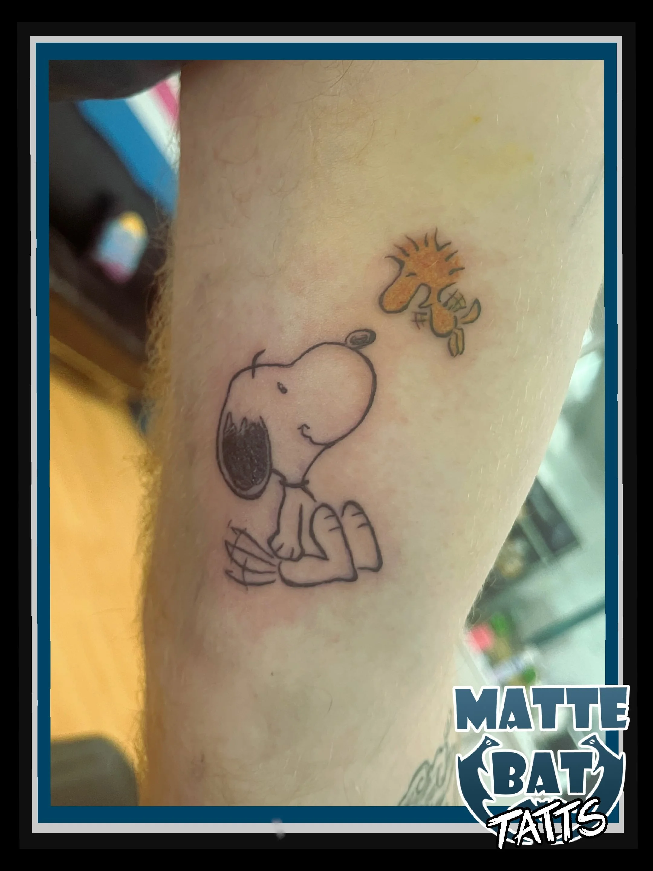 Catching up on some backlog posting, and starting it off with something cute and simple! Another addition to Blazie&rsquo;s collection 💪 And a healed pic of their Scooby, which has some of my favourite colouring! 

✨BOOKS OPEN! DM, email, or fill ou