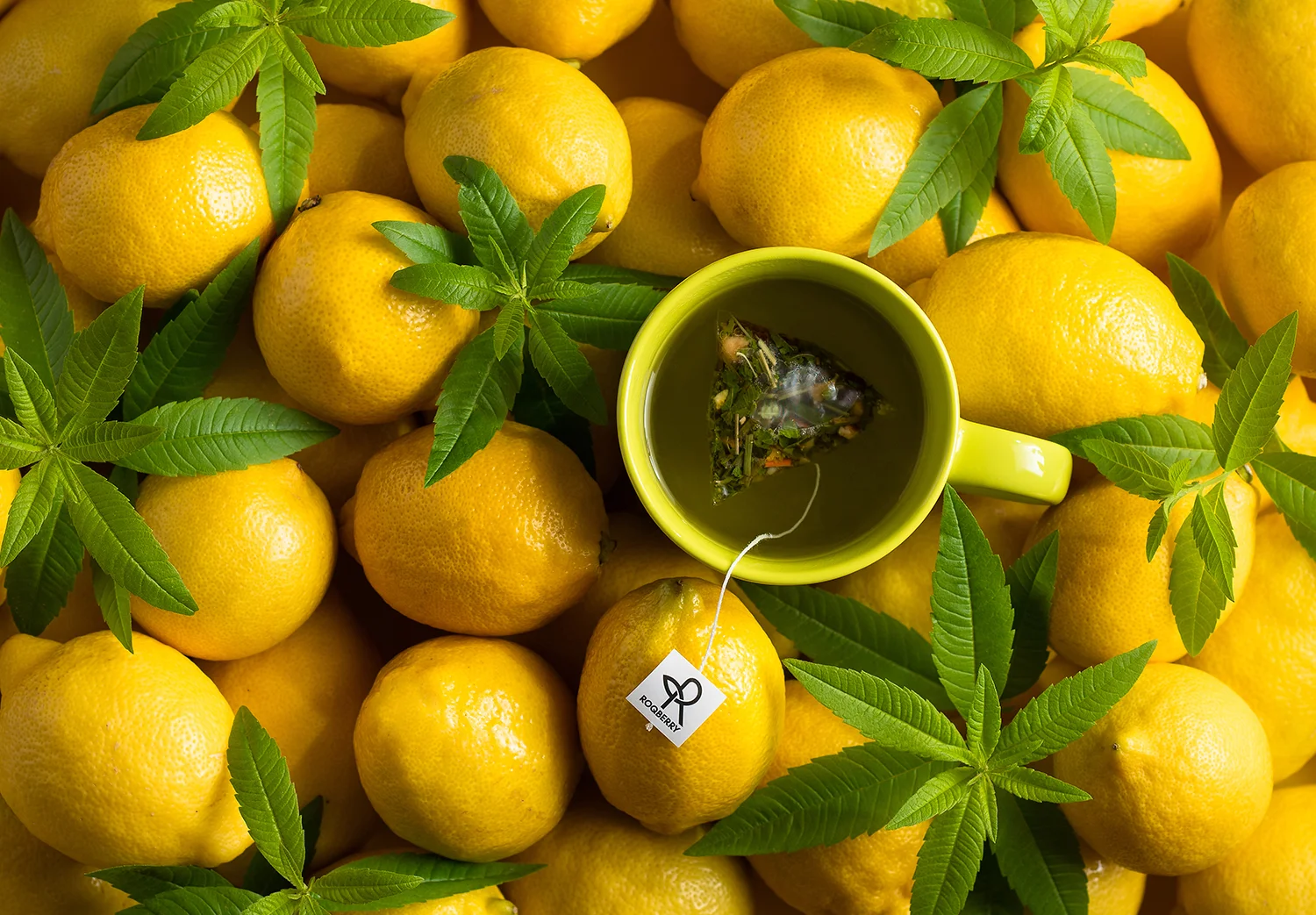 Roqberry_Lemon Verbena_Product Image_1500px_72dpi.jpg