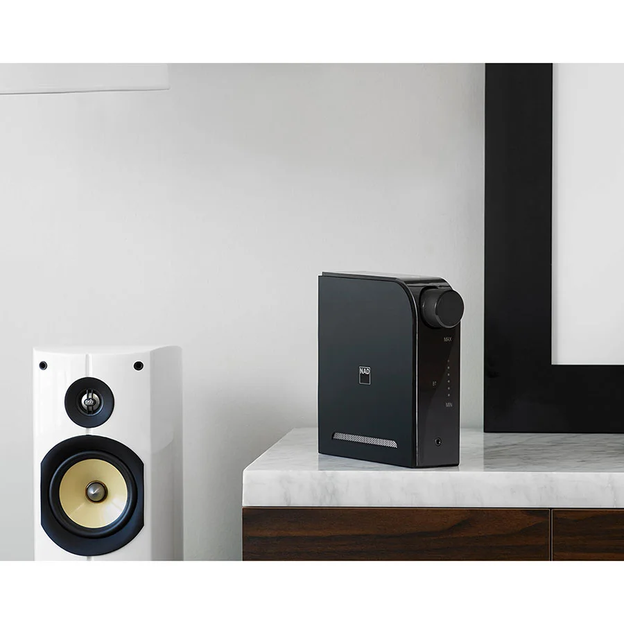 nad_d3020v2_2.jpg