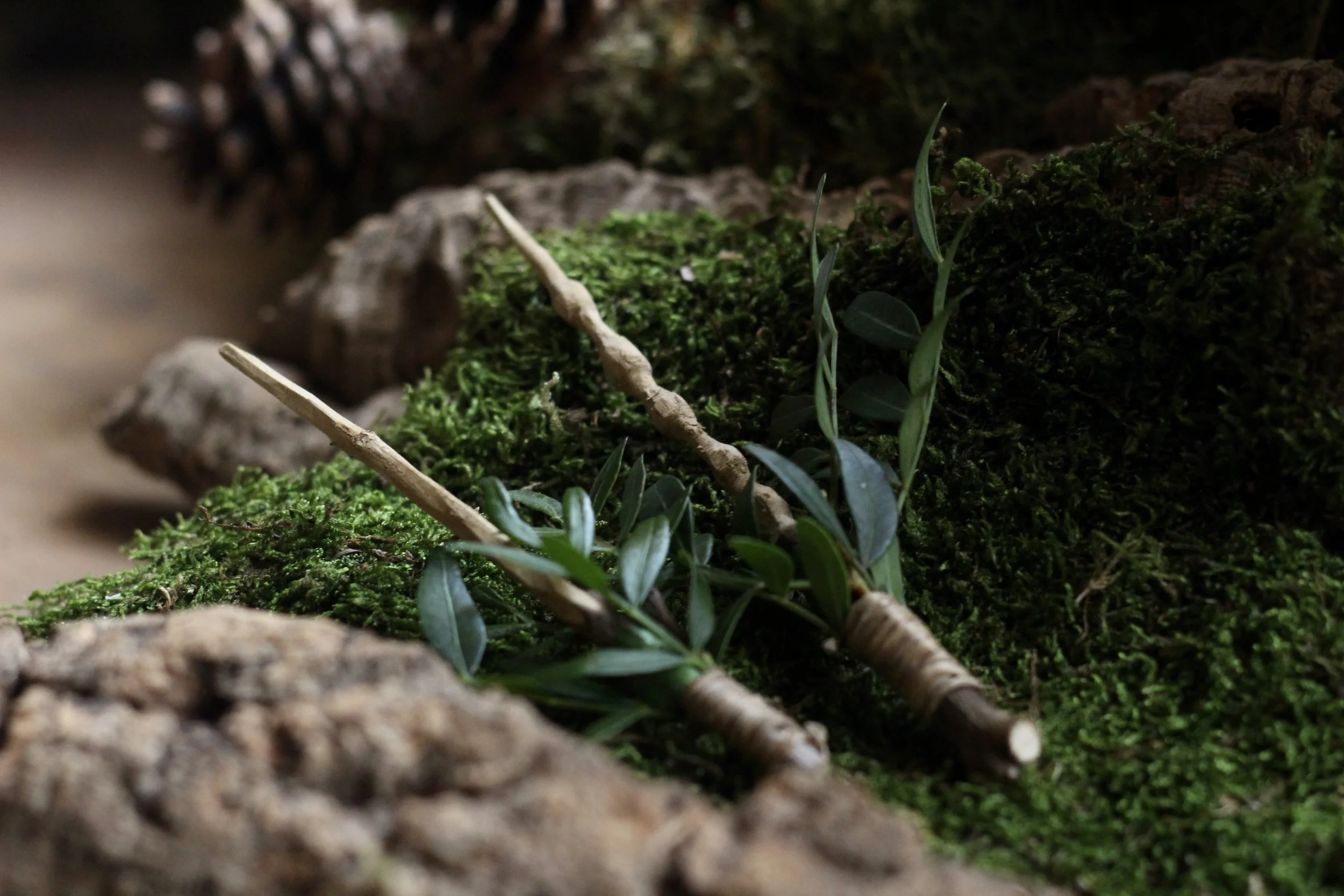 Out of olive branches I was able to carve wands for the button holes