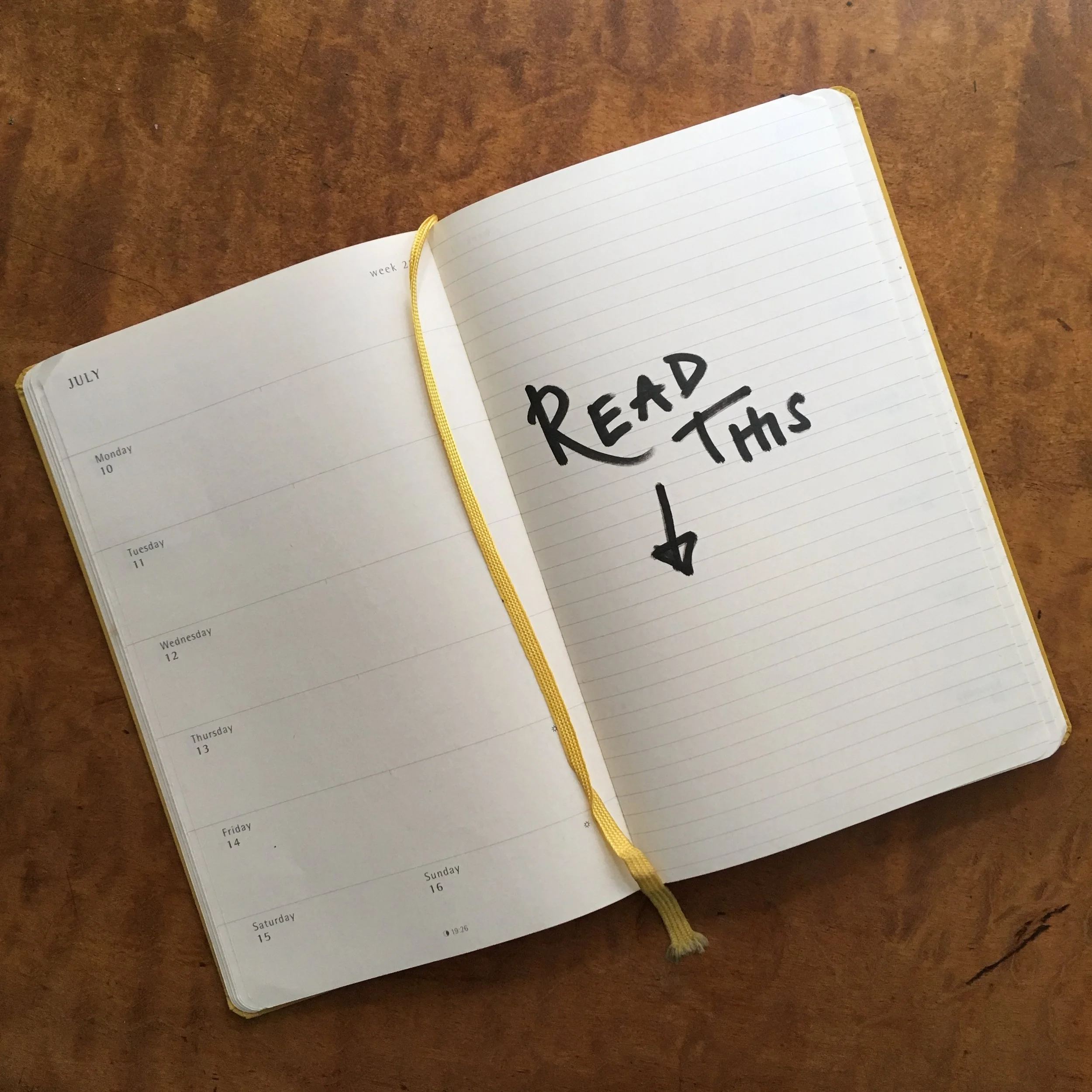 Issue 3: Internet Round Up