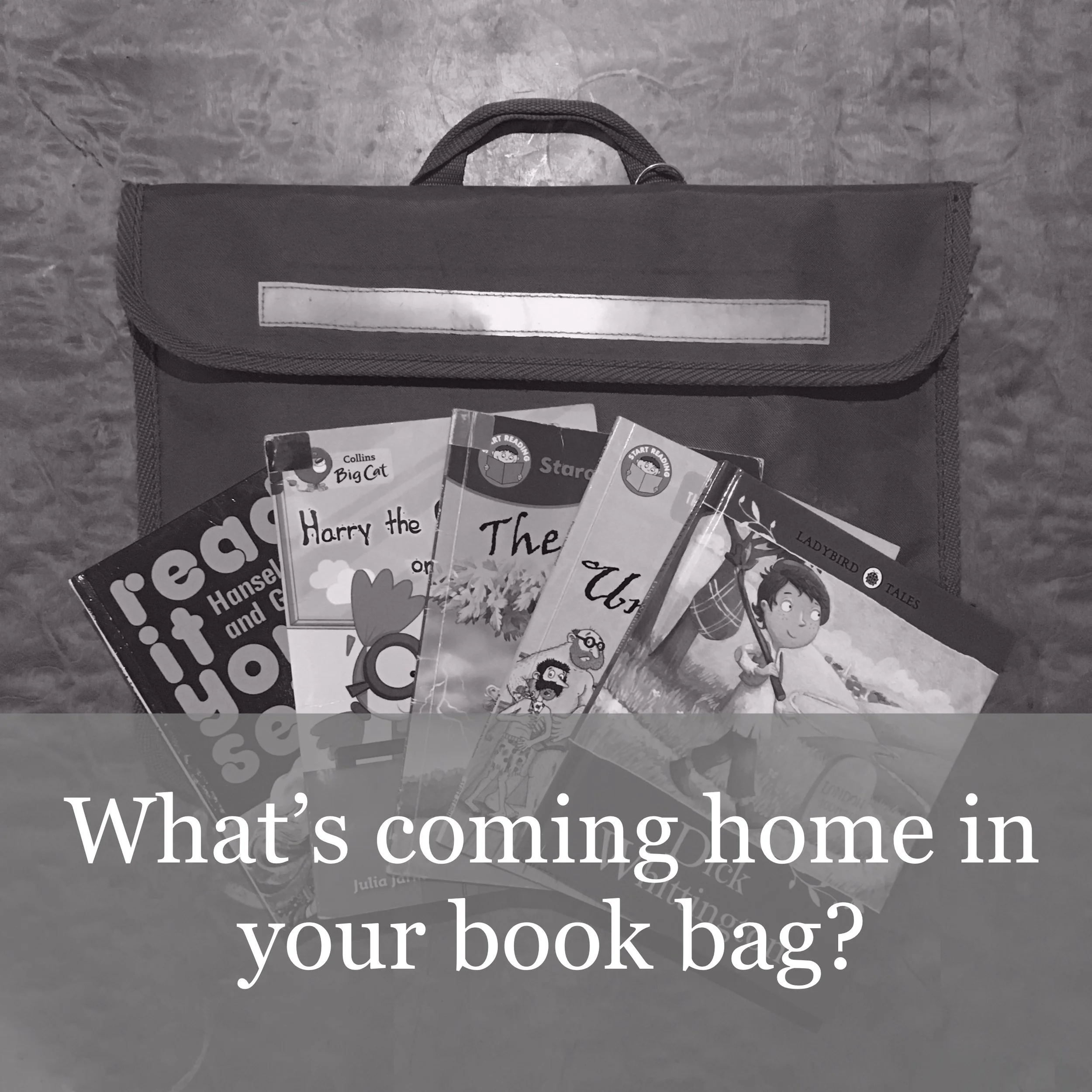 The Book Bag Test