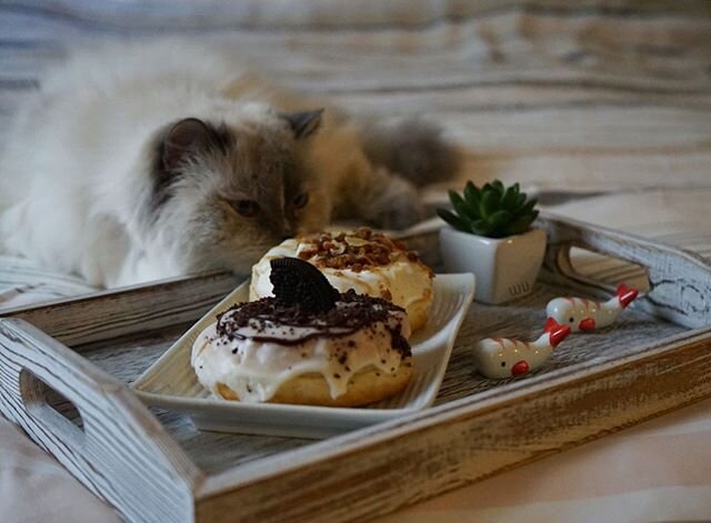 Starting my day off right with these amazing doughnuts. Even Snowball wants to get in on the action.
.
Featured:
🍩 cookies and cream doughnut
🍩 carrot cake doughnut
.
.
.
.
#dippeddonuts #doughnuts #catsofinstagram #tastethesix #tastetoronto #6ix #