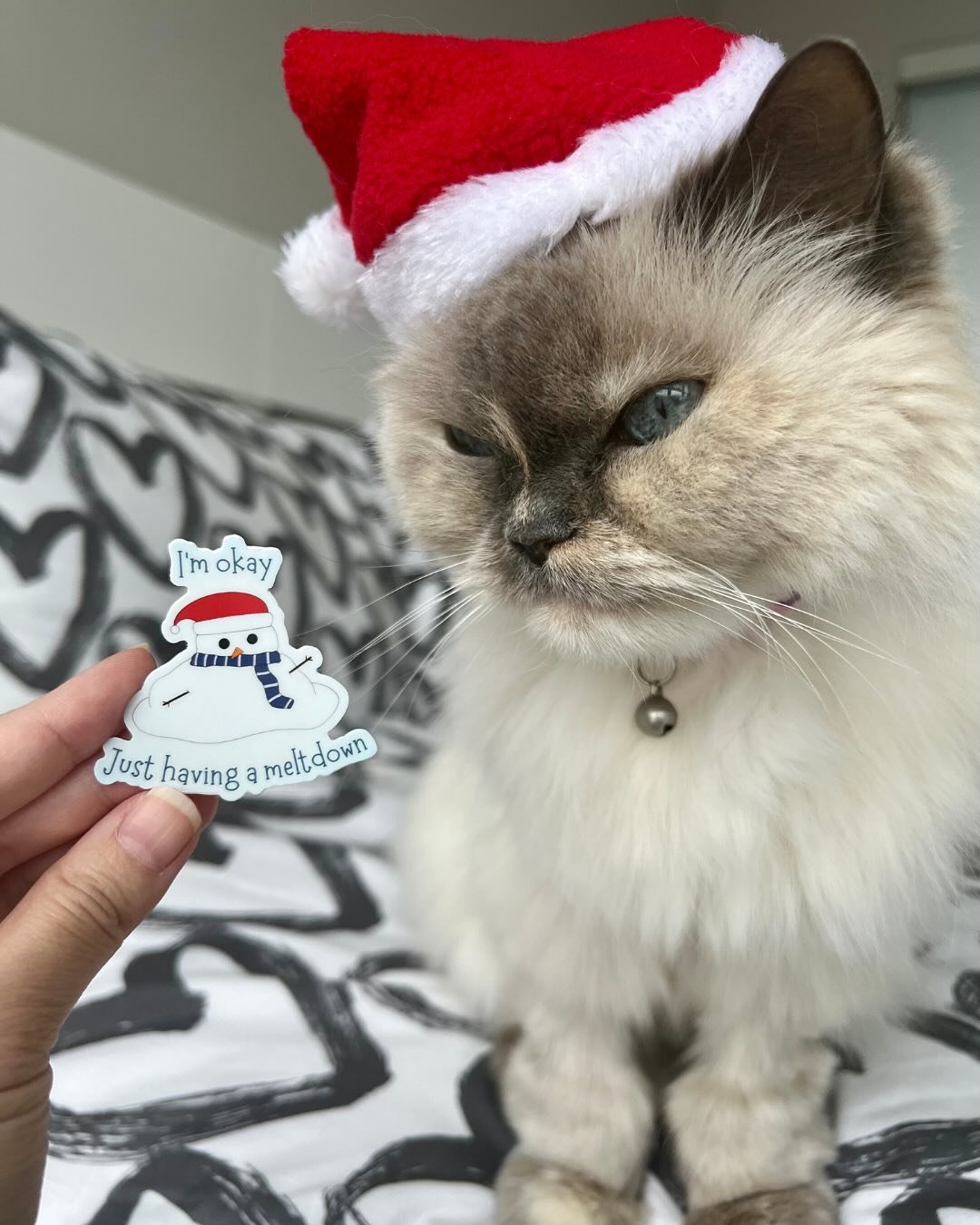 This is Snowball. Snowball wants you to:⁠
⁠
1) Appreciate this gorgeous photo of a very beautiful cat (even if mom made me wear this ridiculous hat),⁠
AND⁠
2) Please shop the SNIKKIDOODLE holiday collection that mom has worked so hard on! ⁠
⁠
⁠
Use t
