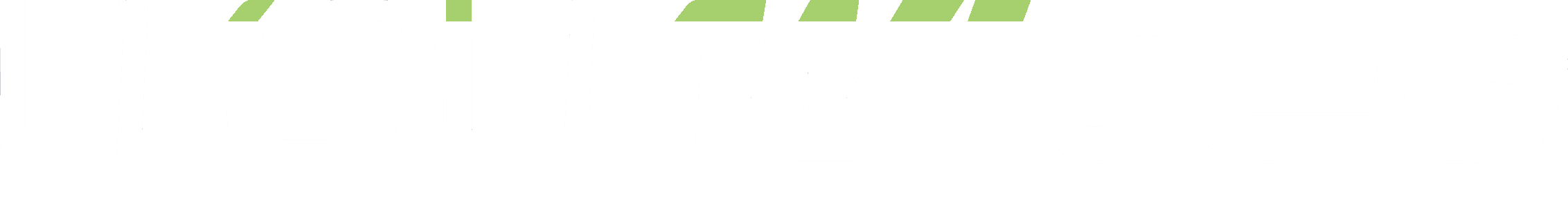 WowWipes Logo Transparent White_Green.png