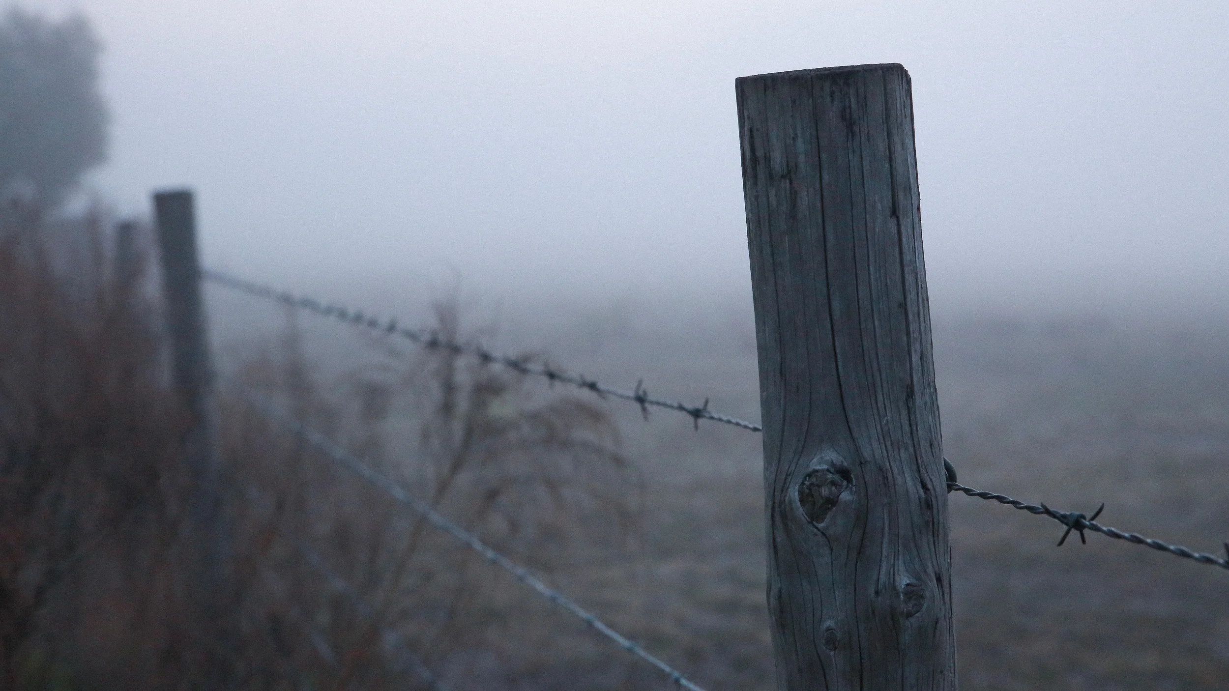 Fence-Mist-002.jpg