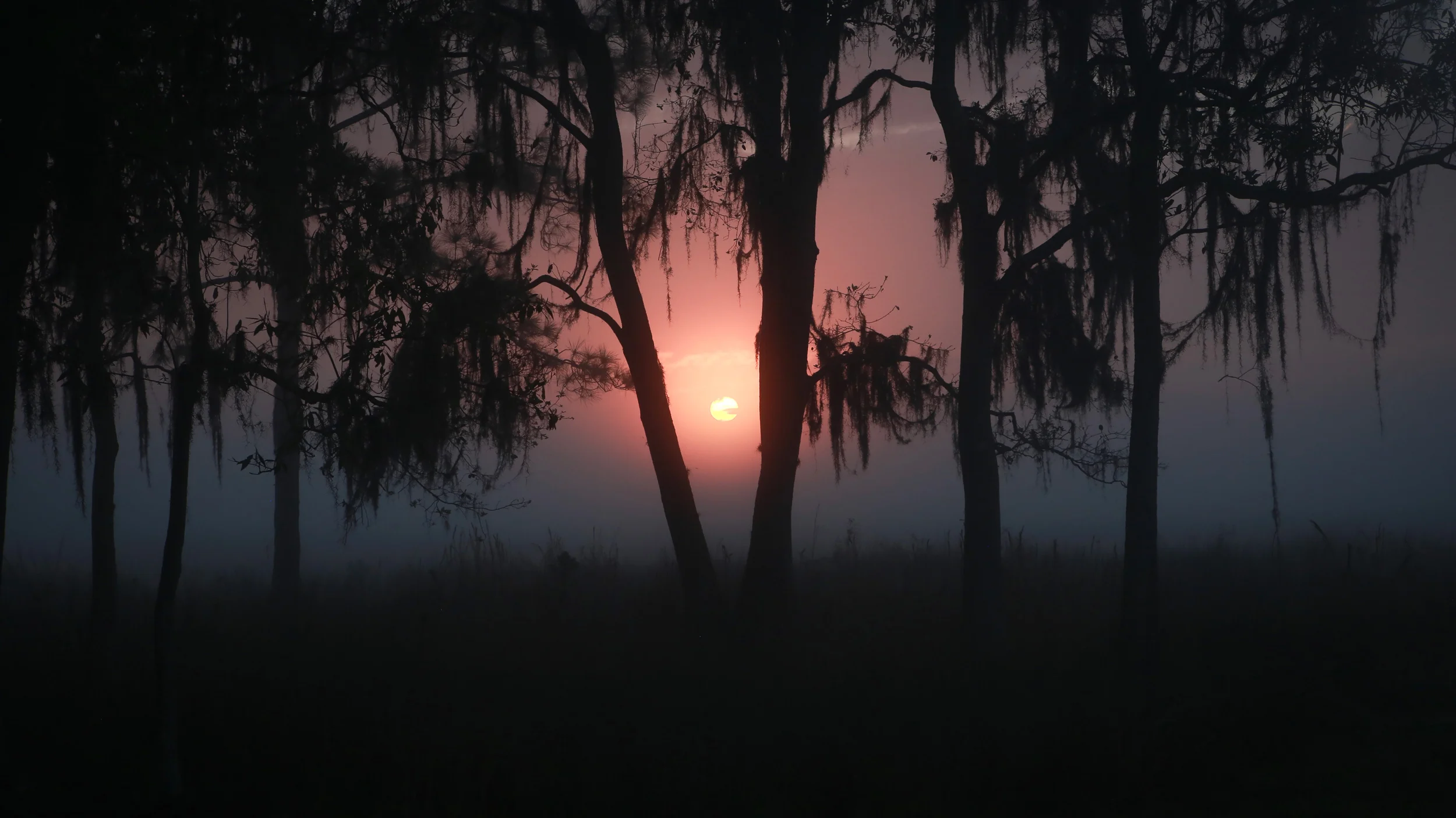 Swamp-Sunrise-001.jpg