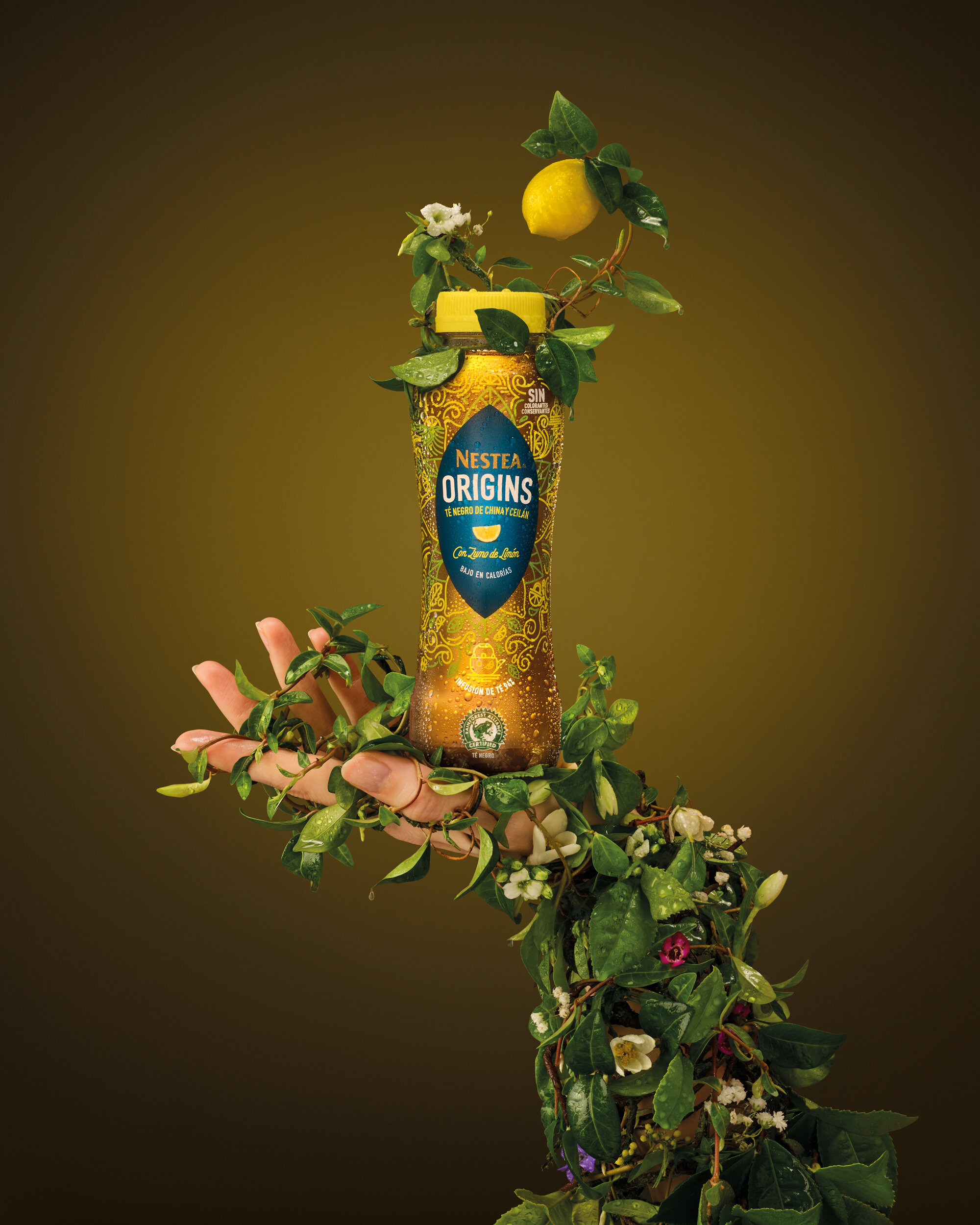  Visual Concept + Art Direction for Nestea,  McCann Erickson Madrid  . We used real plants on the making of the shooting. Photography: Paloma Rincón 