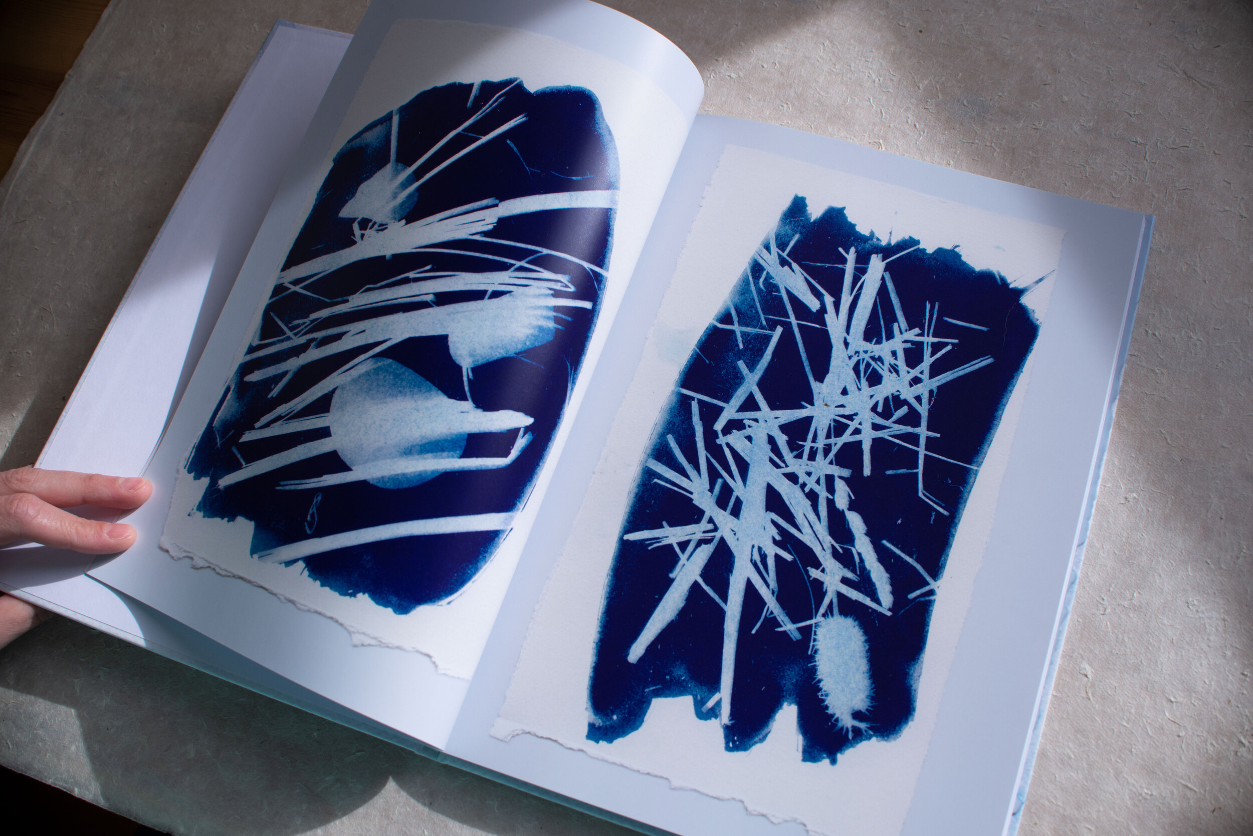   Artist book. 2018   This artist book consists of a compilation of cyanotypes I made during my pilgrimage of 500 miles from Madrid to Muxía, the last stop of El Camino de Santiago, Spain.  The images are shadows of elements I found on my way while I