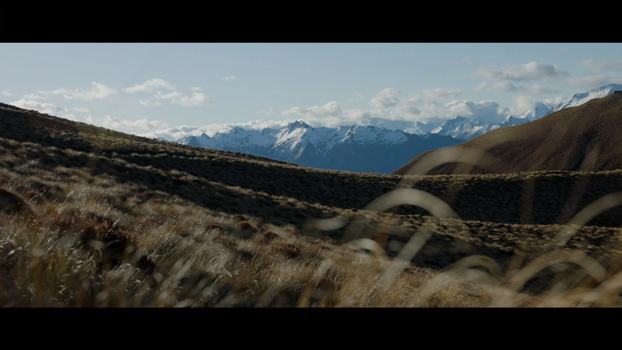 NZ 8.jpg