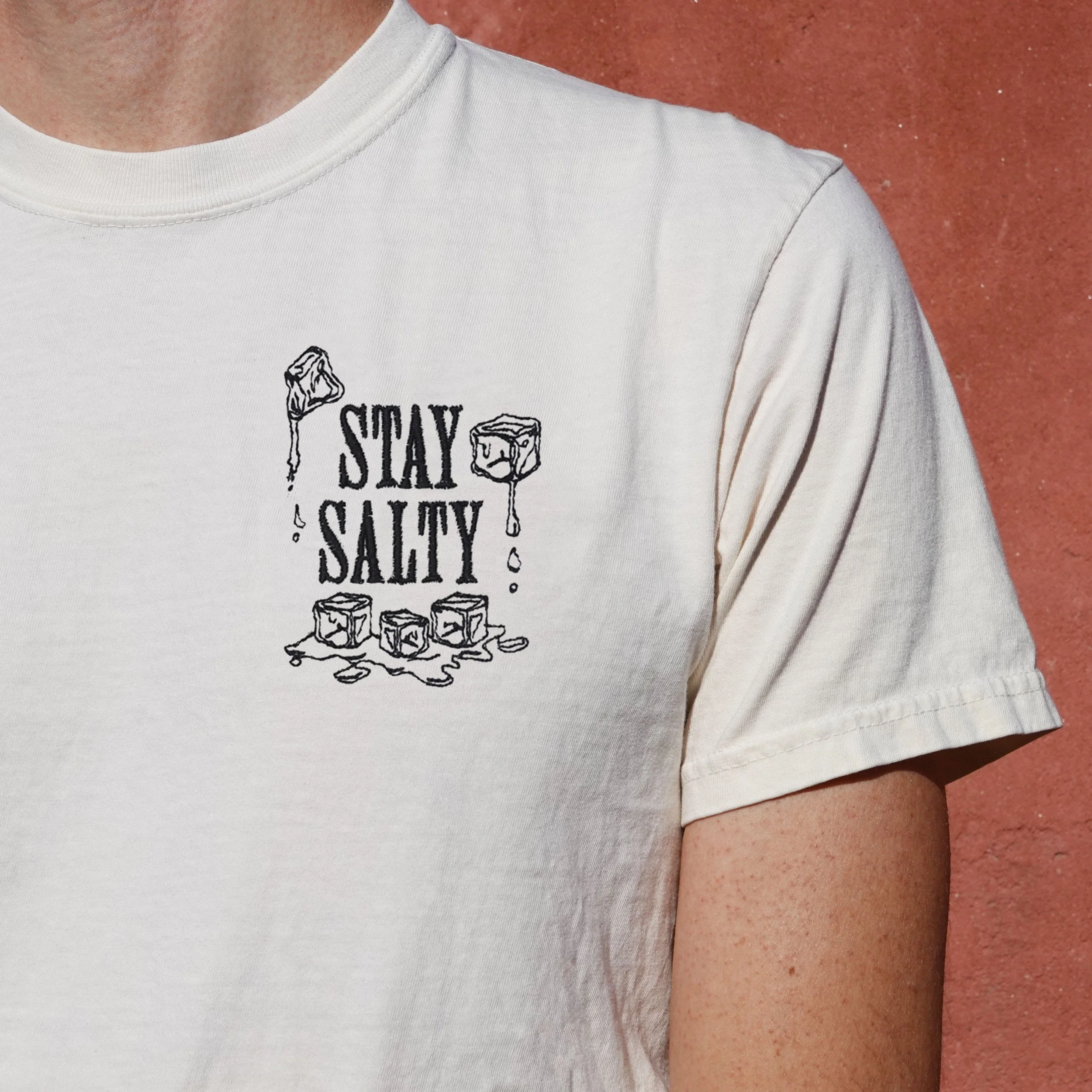 saltyshirt3.jpg