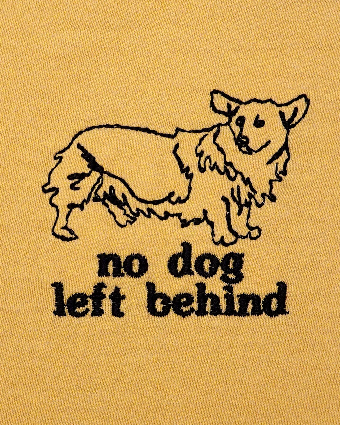 corgidetail.jpg