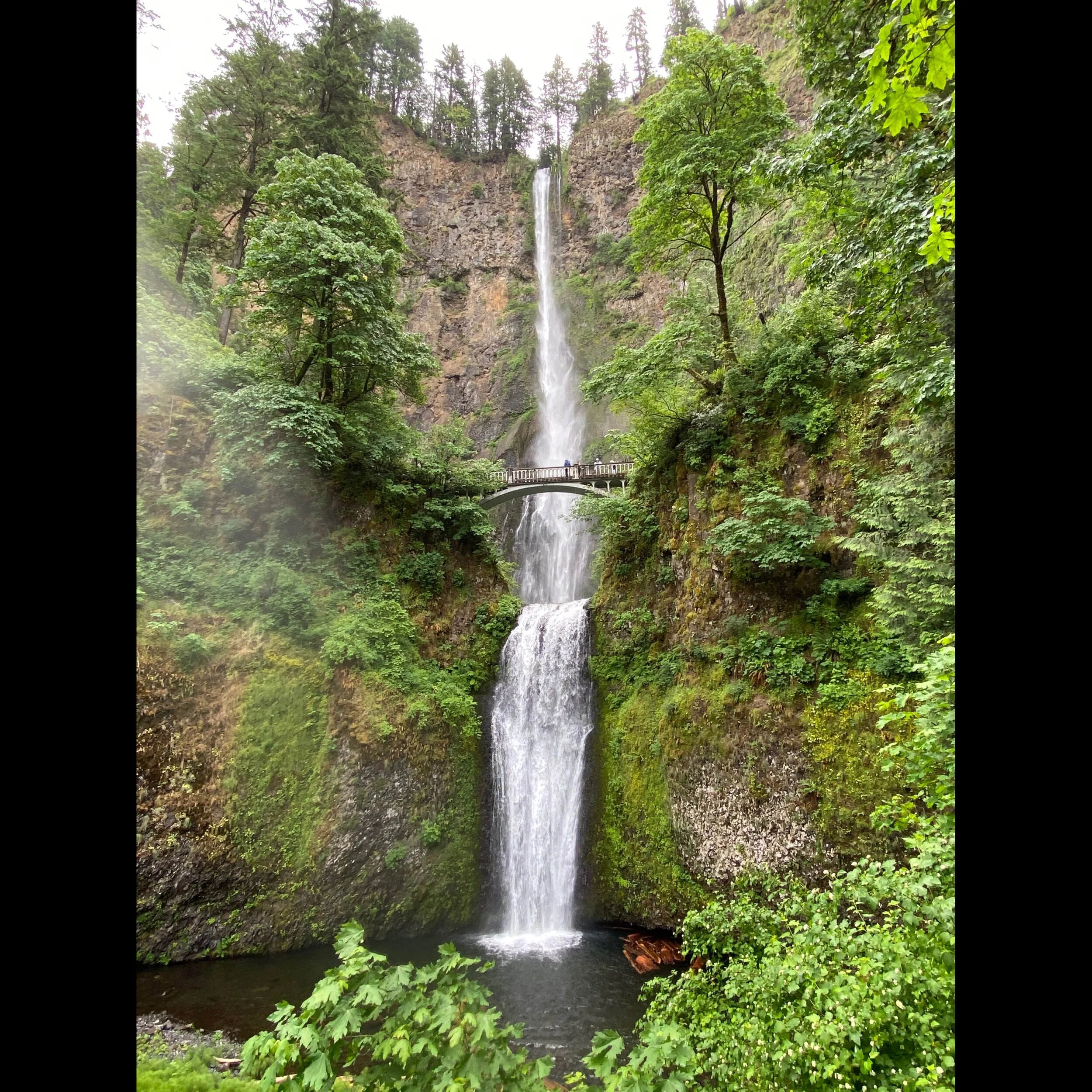 American Cruise Line on board American Harmony