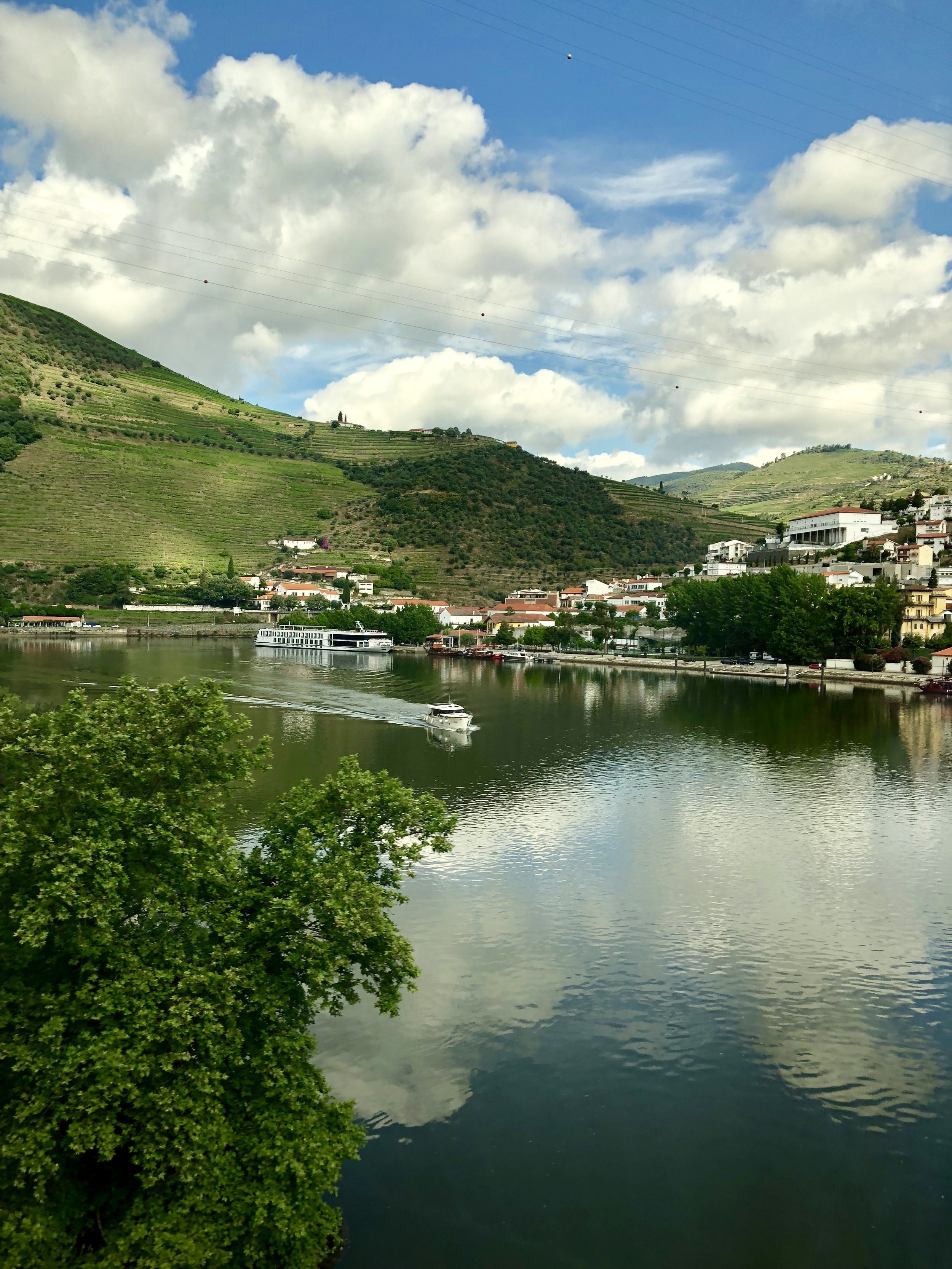 IMG_7522.jpeg