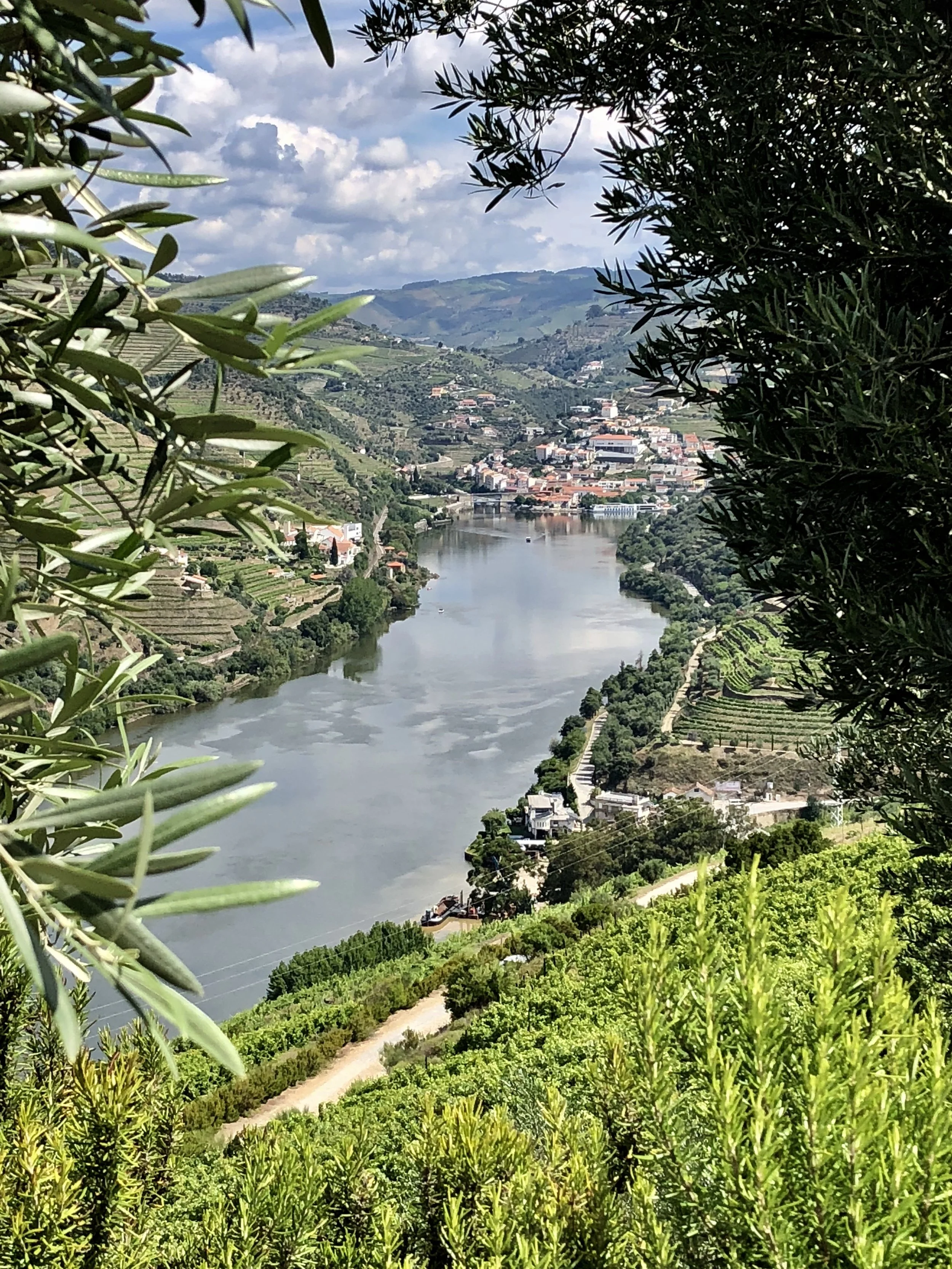 Portugal Douro River Cruise 
