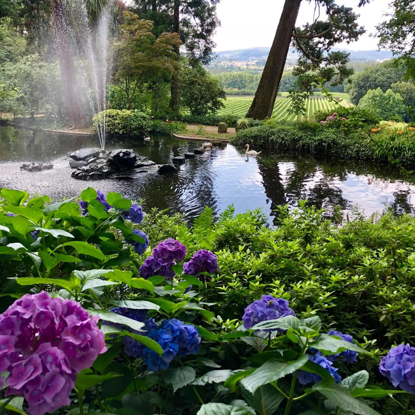 Portugal 🌍 Jardim da Quinta da Aveleda &mdash; where travel slows down and the beauty of nature speaks for itself. Great memories from a peaceful stop on our Portugal river cruise. 💫🍷🌸
🧭 Travel-Lyn LLC 
#lovetravellyn
#traveleducates #portugal #