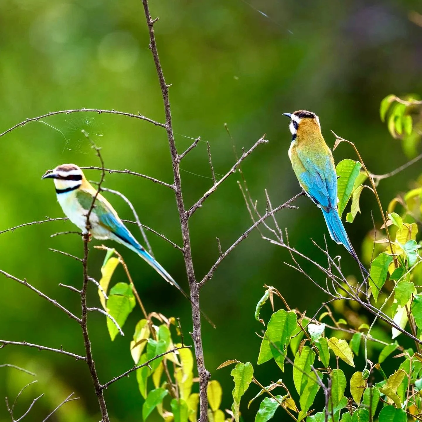 Small groups. Slower travel. Deeper connection. Even the birds became part of the story &mdash; colors we noticed more than usual, thanks to a fellow bird-and-flower lover in our group. It reminded me how you never know who you&rsquo;ll meet or what 