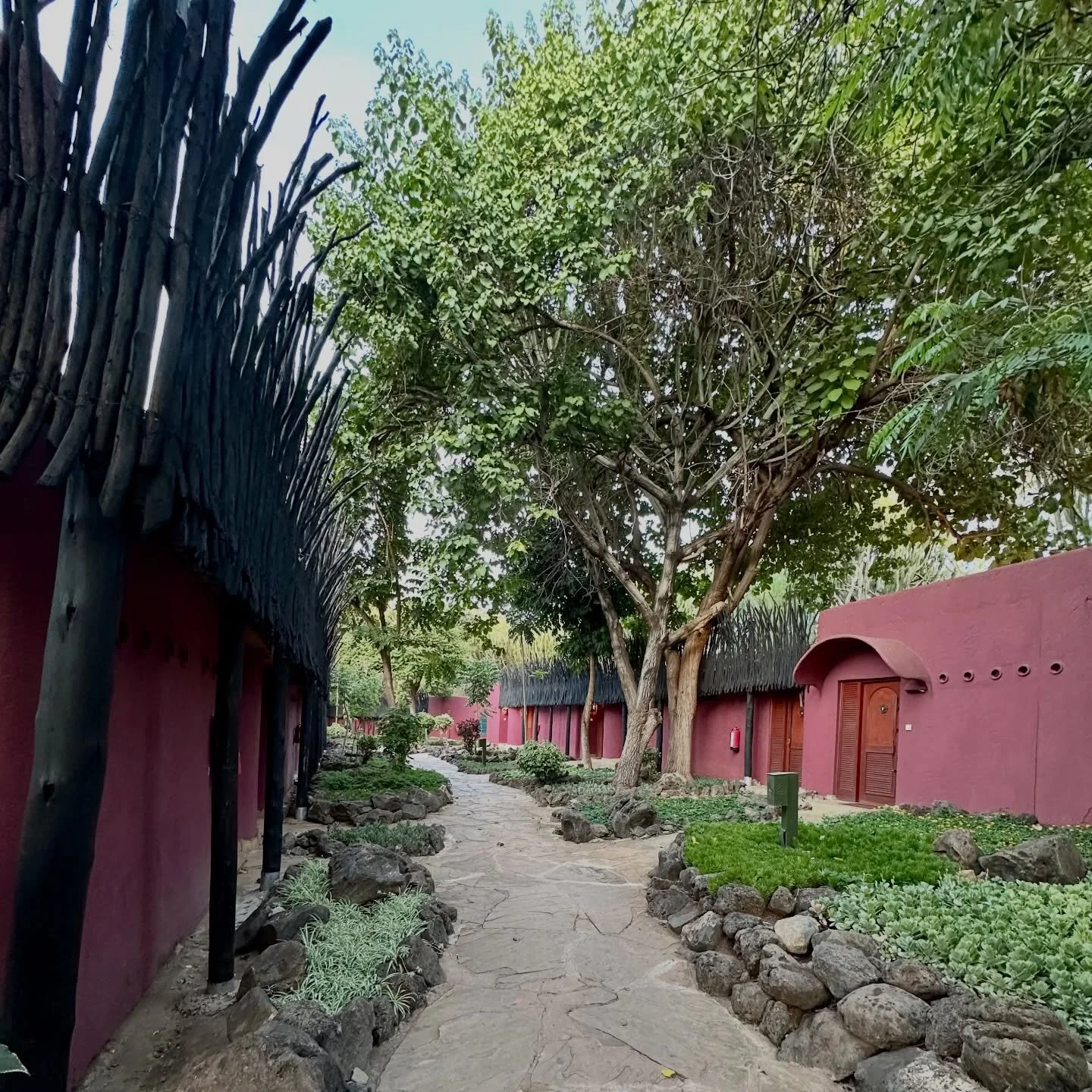 After crossing from Tanzania into Kenya, this is where we landed next&hellip;Amboseli Serena Safari Lodge, with Mount Kilimanjaro views as we approached, and wildlife all around us. Very surreal. 

The lodge is more rustic than some of our other stay