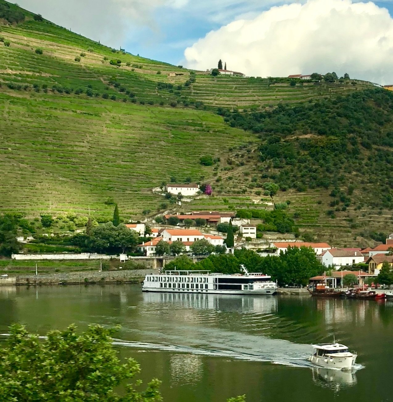 Memories from Portugal, what a beautiful trip this was. 🇵🇹 

We took extra days in Porto, and I&rsquo;m so glad we did. We had time to wander this special place, ride the cable cars, watch sunsets along the river, and really enjoy this colorful, un
