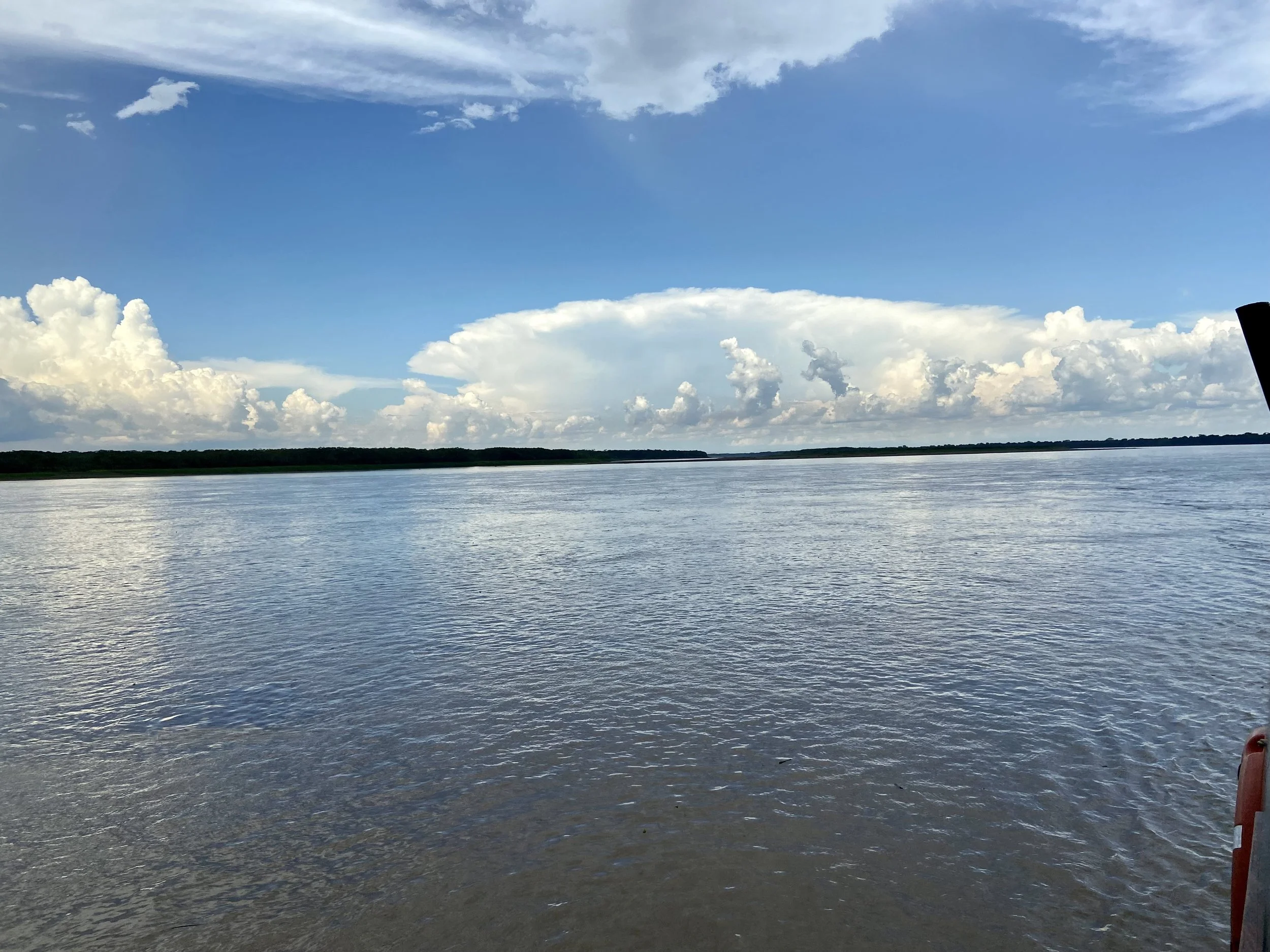 IMG_0796.jpeg