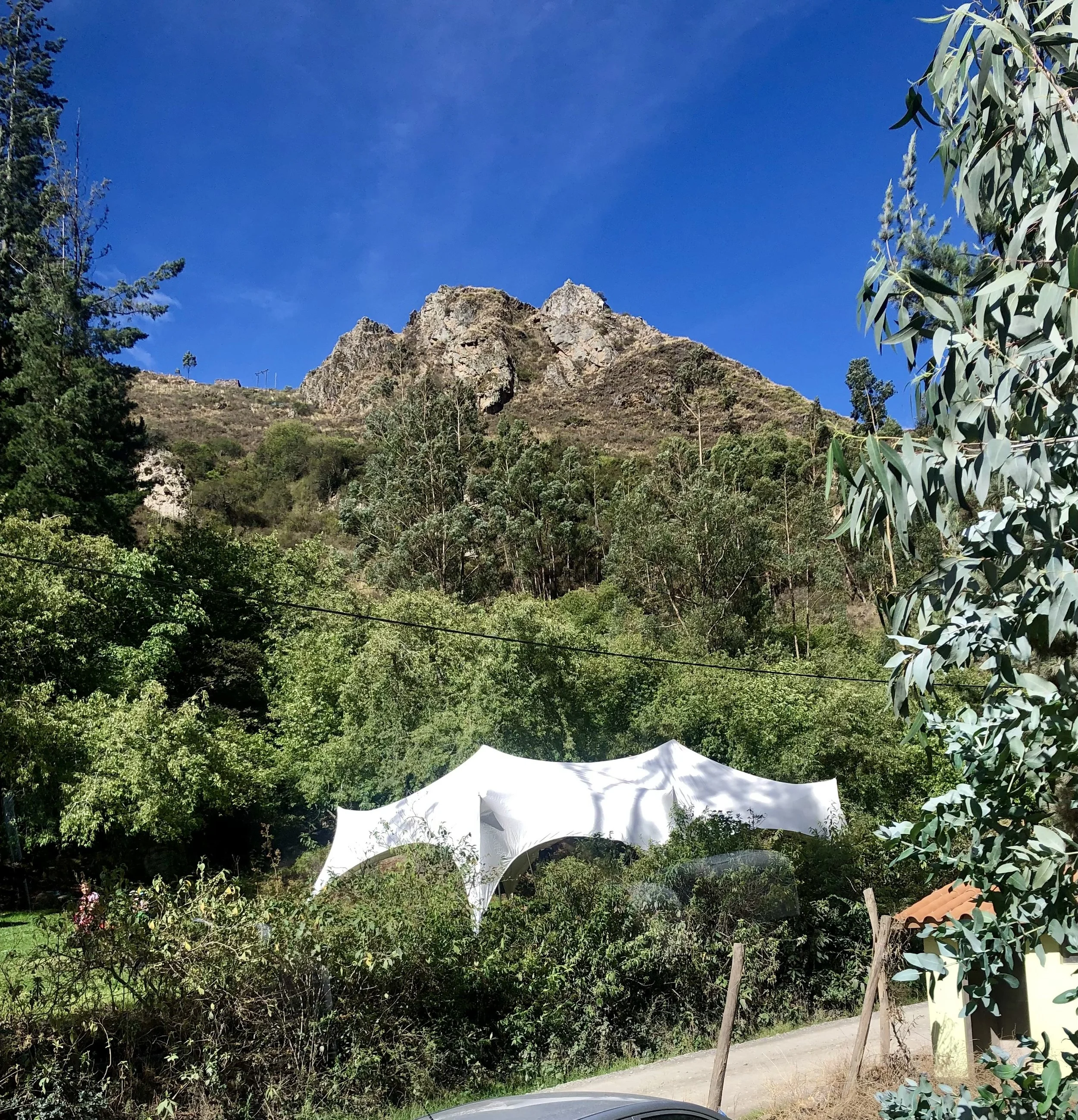 IMG_6319.jpeg