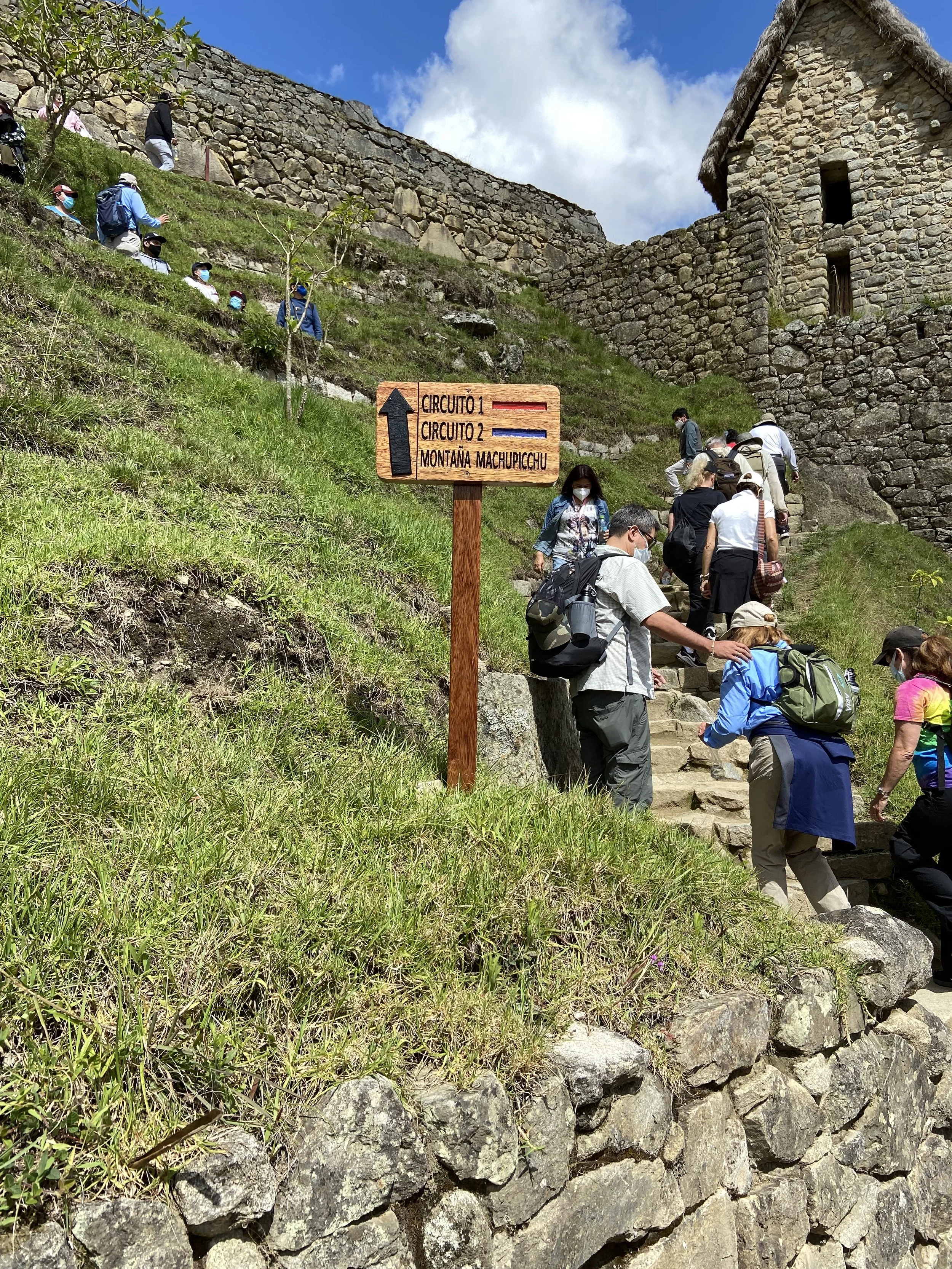 IMG_1120.jpeg
