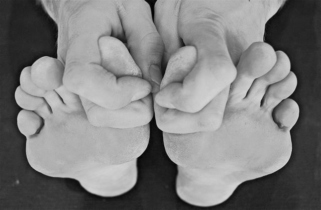 yogi-grip1.jpg