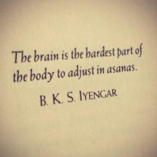 the-brain-is.jpg