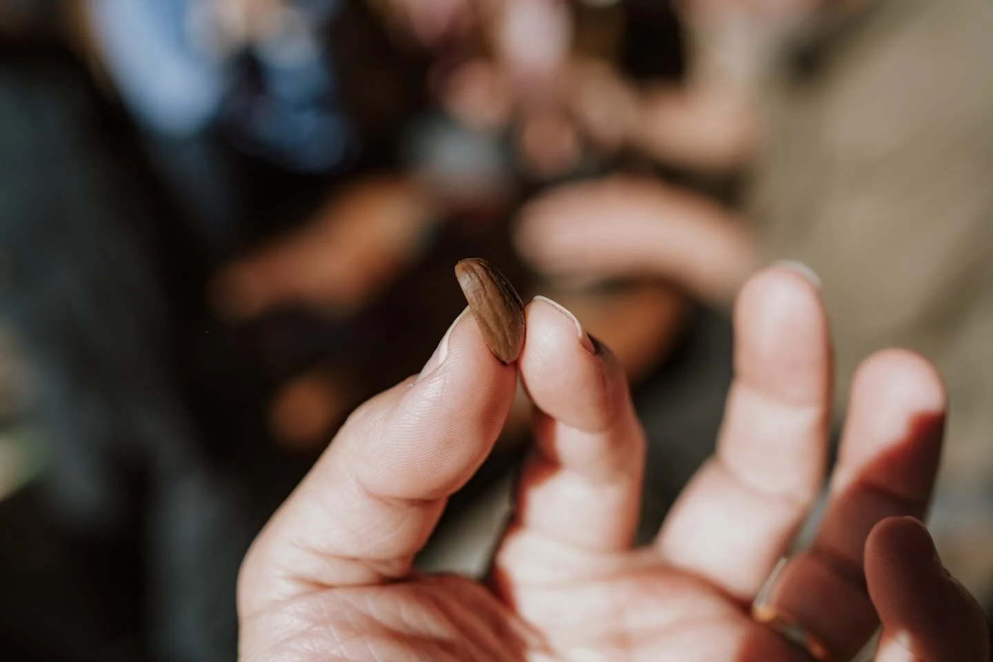 イトウ家で、タイマグラのフィールドノートの、どんぐりを食べる会へ。

熊はどんぐりを体内で消化できるが、自分たち人間は11回アク抜きして食べる。東北の飢饉を生き延びるために繋いできた先人の智恵に触れる。調理することで、体内に存在しない機能を外部化して生き延びてきたということか。

そういえば、カメラも視点や視覚記憶を外部化している。人間はこれらを外部化して、どういう方向へ向かっているんだろ。心や魂が人に写真を撮らせるようにも思う。心や魂と言ってみるけど、それがなんであるのか、自分にはわからない。