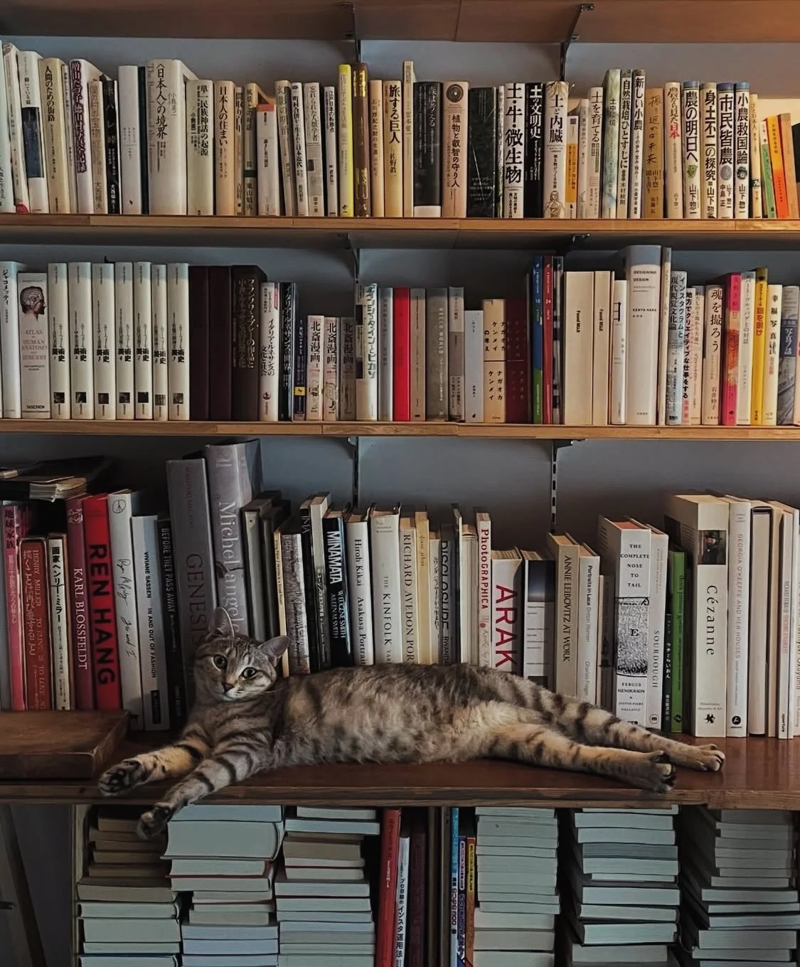 「生活と写真」

展示② 本棚

本棚を置いてます。

自由に手にとっていただけます。

事務所をそのままひらきます。

==============================

⚫︎展示「生活と写真」イトウタカムネ写真事務所

⚫︎2026年　4月24日（金）～29日（水・祝）

⚫︎場所　〒020-0827　岩手県盛岡市鉈屋町３－１０八百倉町家

●時間

4月24日（金）13:00~19:00

4月25日（土）10:00~19:00　※13:00〜14:00 トーク予約者優先

4