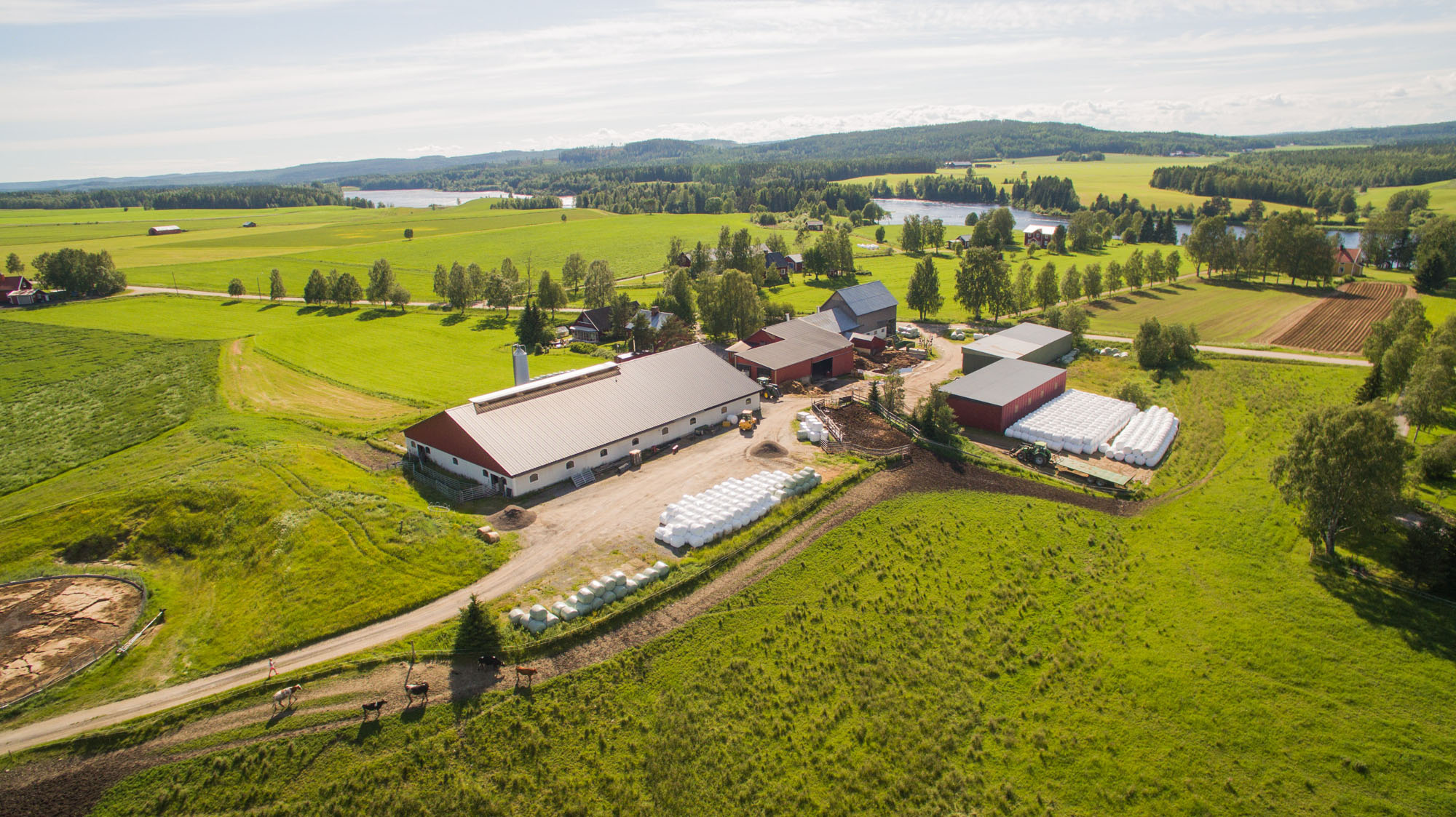 Rödåsens-gård-07-vy-över-gården.jpg