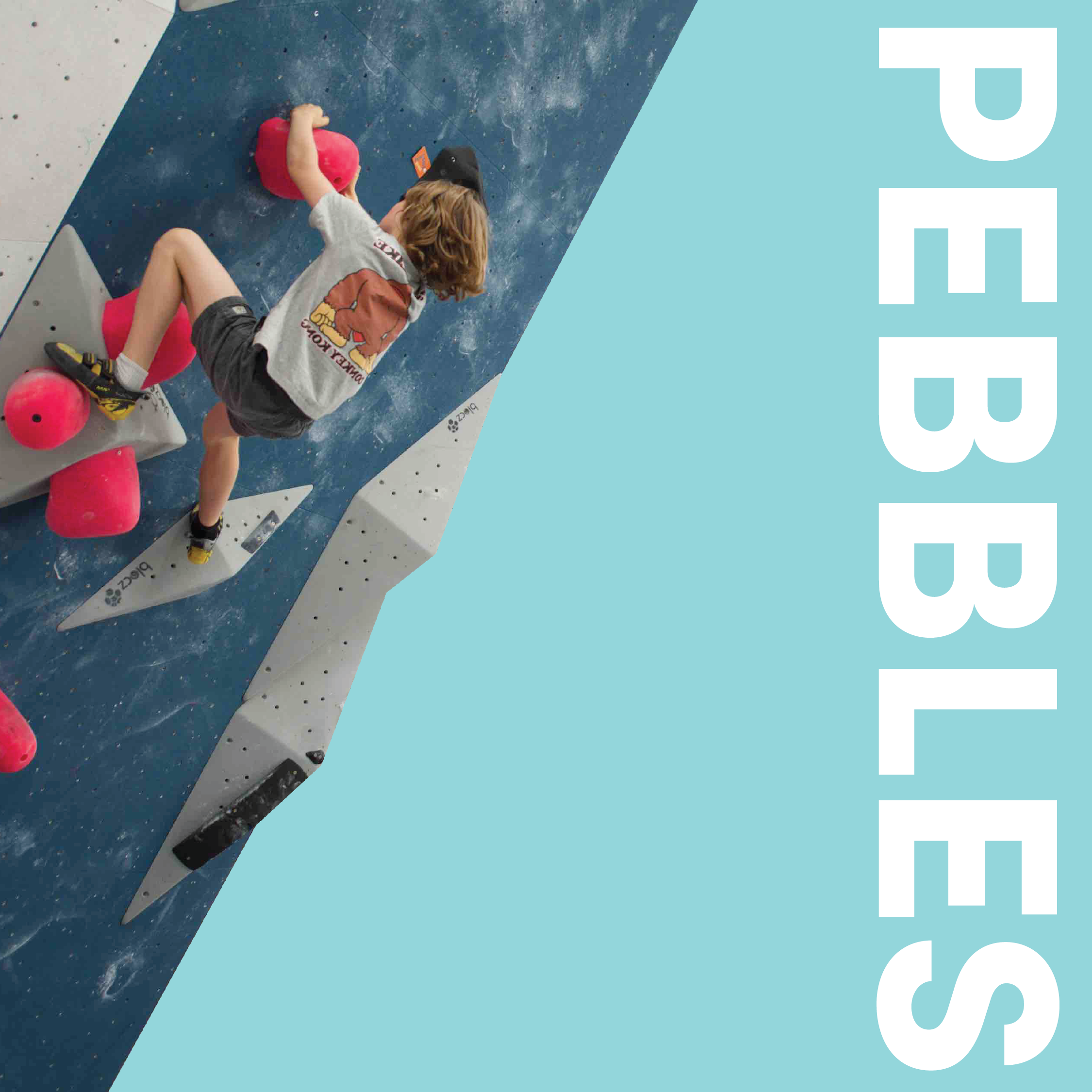Pebbles Product Tile-01-01.png