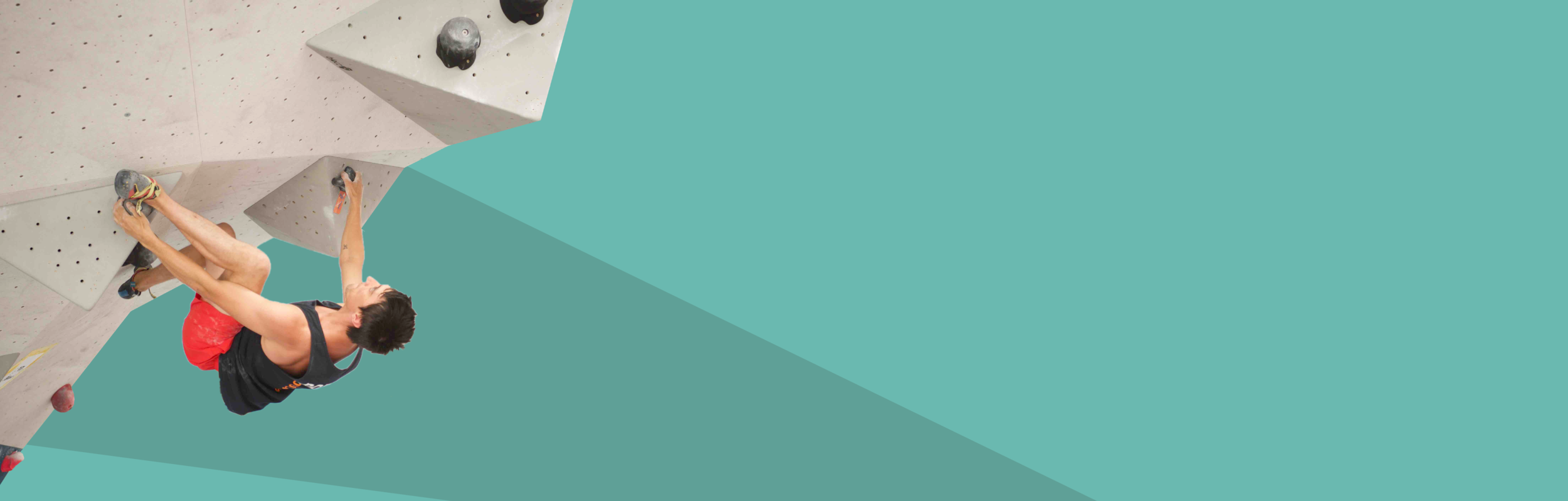 Ferdi Website-01-01-01.png