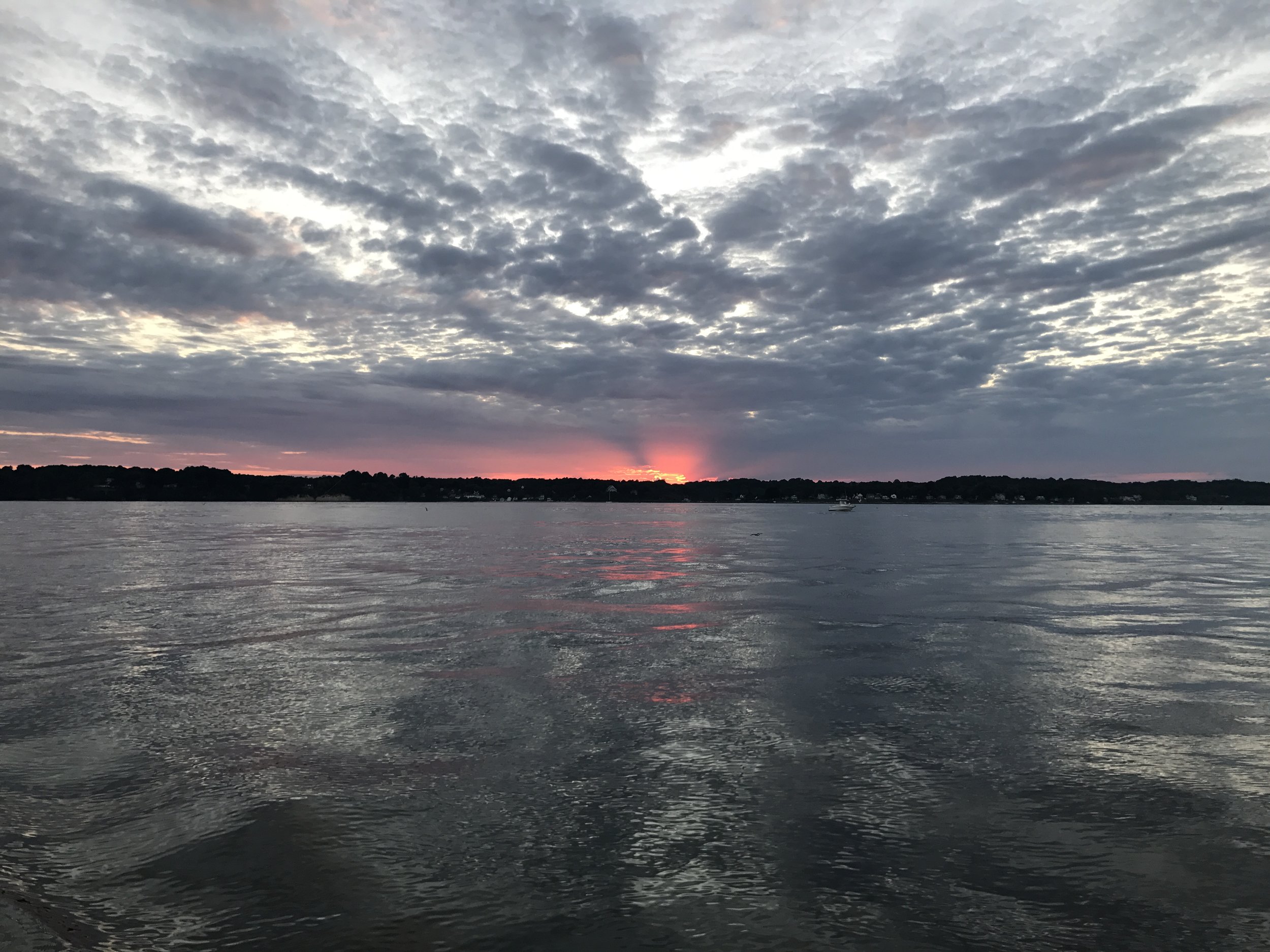 Herring Bay looking West into the Sunset