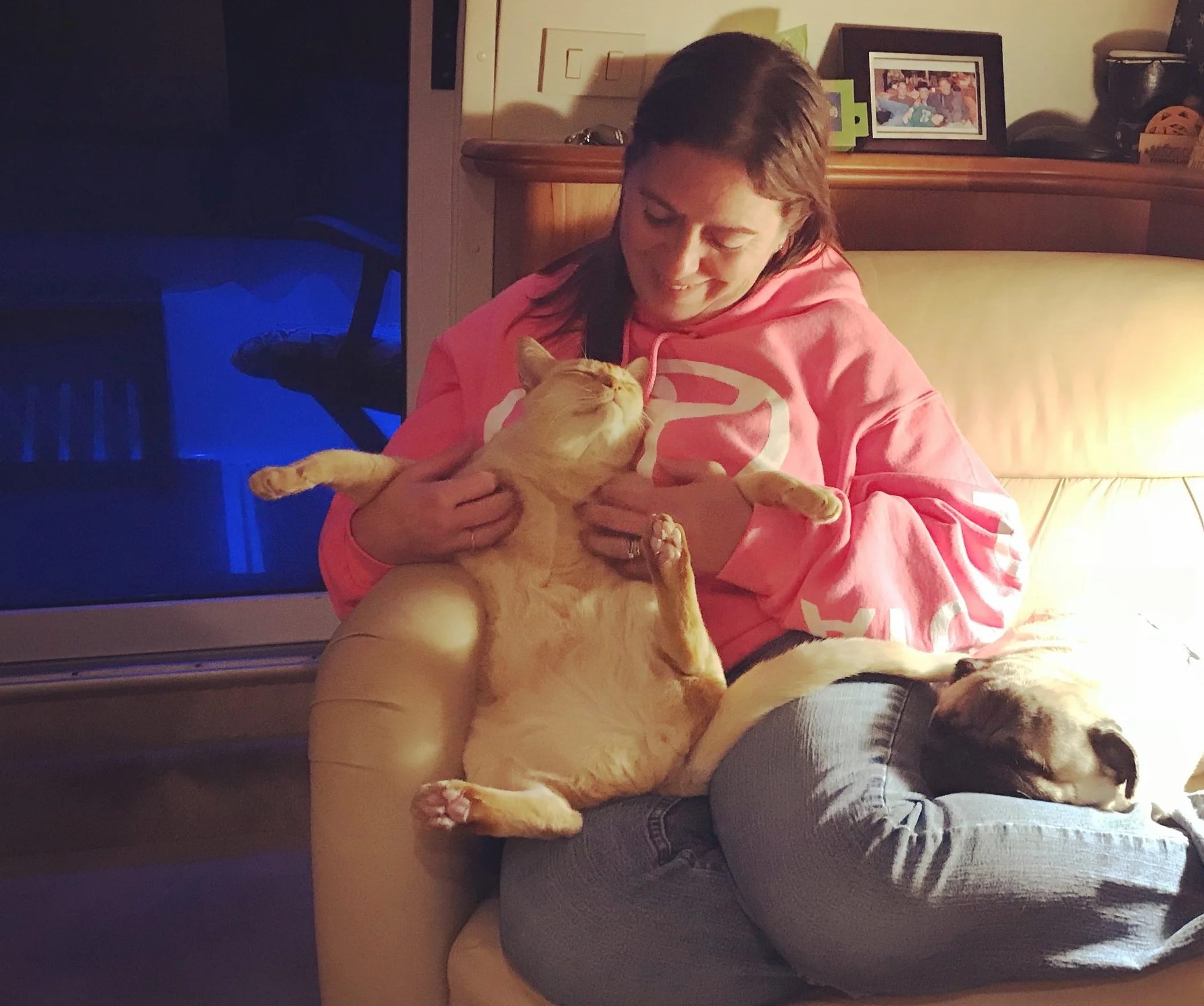 liveaboard boat pets