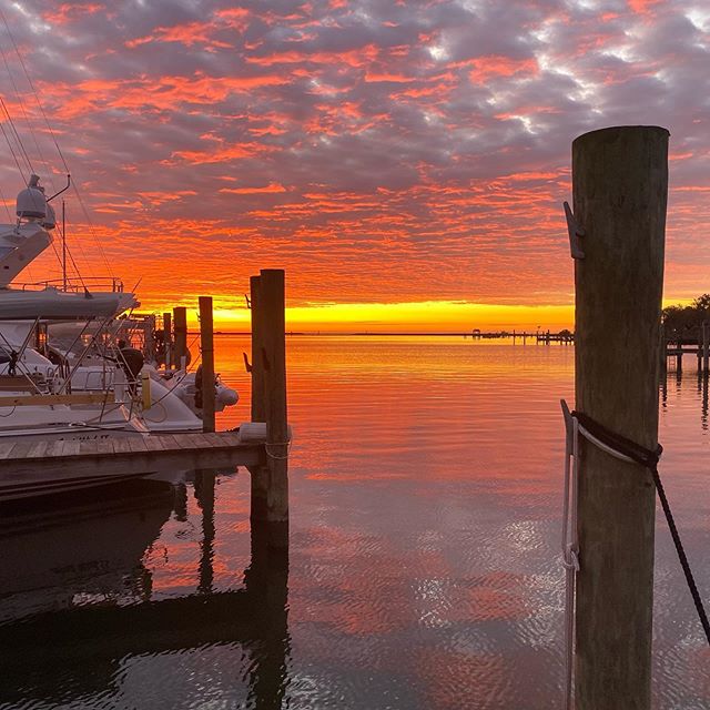 Too cold to go outside, but the morning view is nice. #liveaboardlife #sunrise🌅 #chesapeakebay #marinalife #dockofthebay #morningcoffeetime