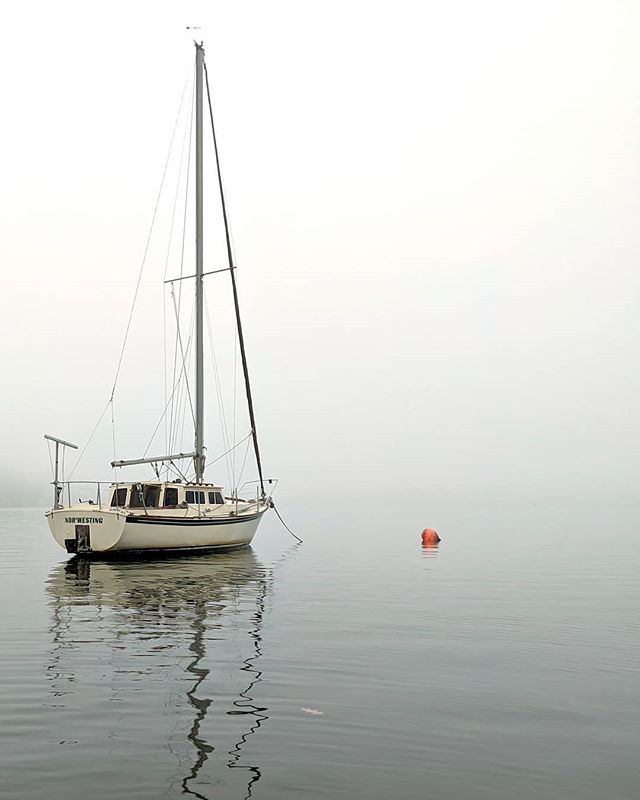 I wonder how many scenes like this I would have missed had I not taken on the #spinsheet100 challenge? It's surreal to think I only have about three days left before I've finally completed it. Every day on the water is enjoyable but, I would be lying