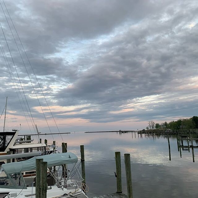 Perfect way to end the weekend! @themarinalife #lovewhereyoulivemd #herringbay #birdsofthebay #spring2020 #enjoynatureswonders