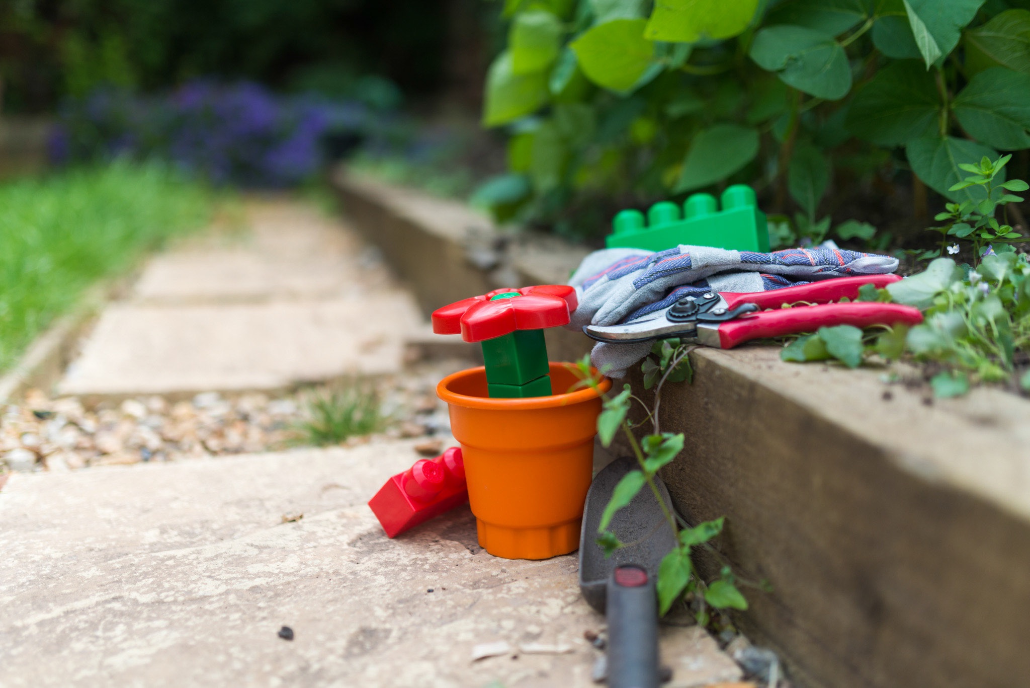 KSLS July 2015 gardening.jpg