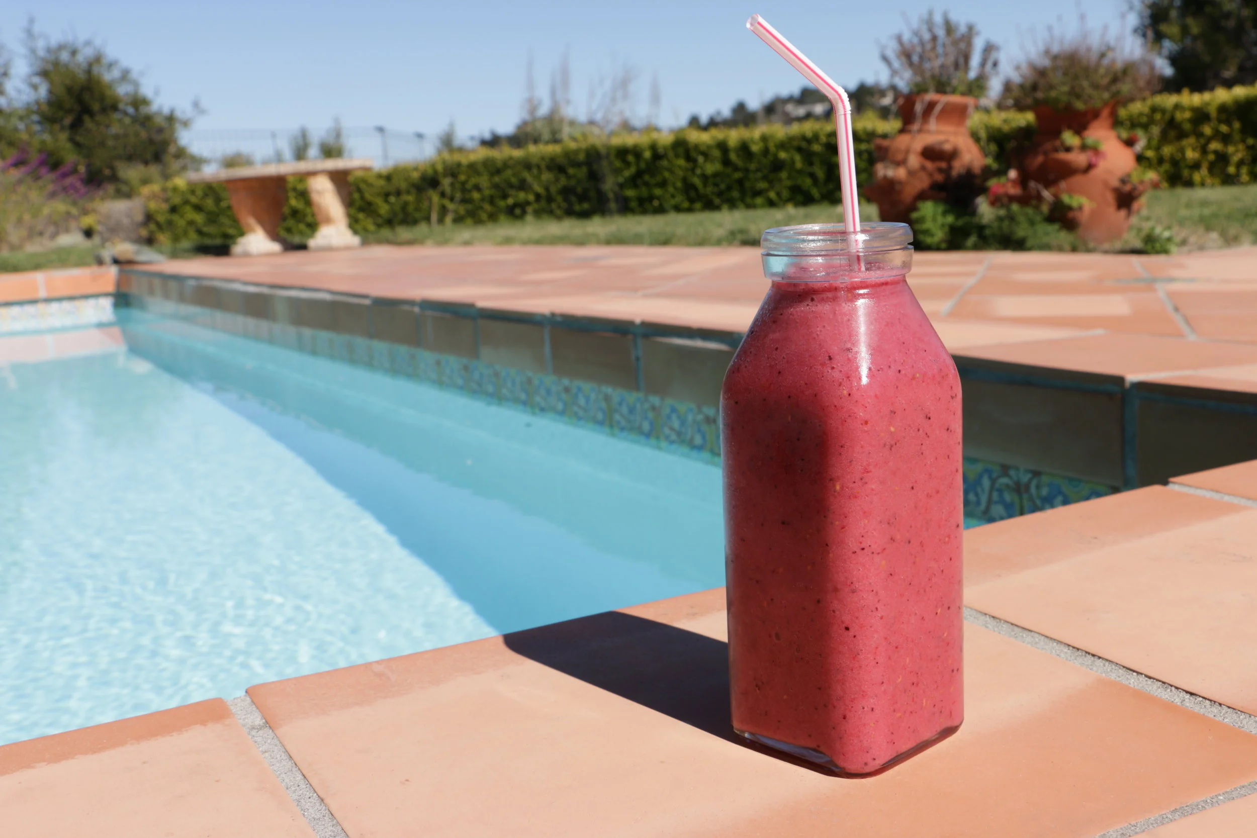 raspberry cream smoothie