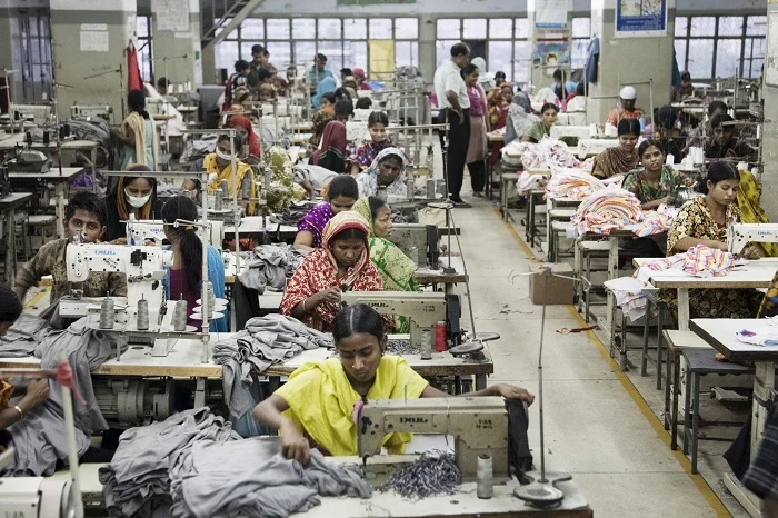 Day In The Life Of A Sweatshop Worker Edble Complex Plant based 