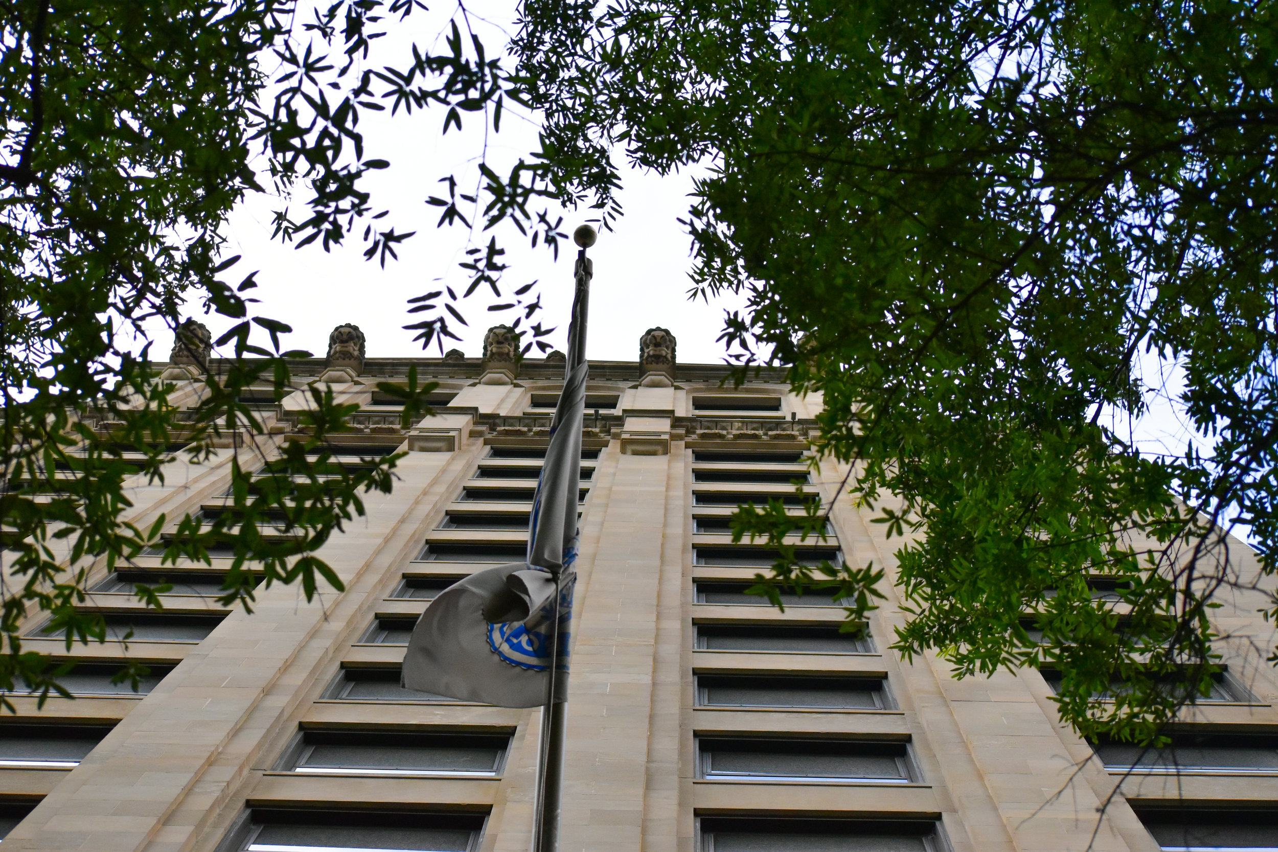DSC_0733.jpg